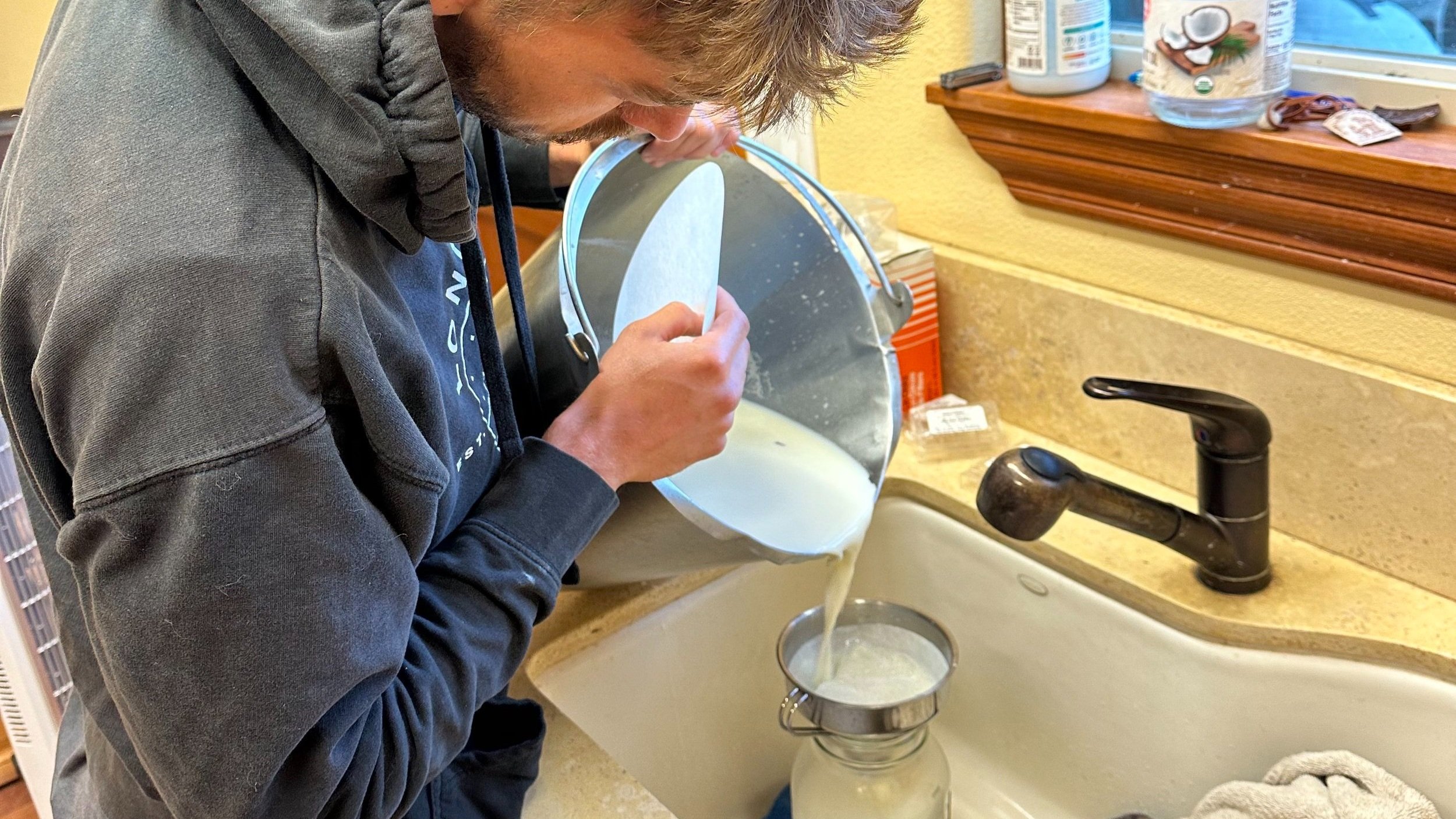 Straining the milk before it's ready to drink