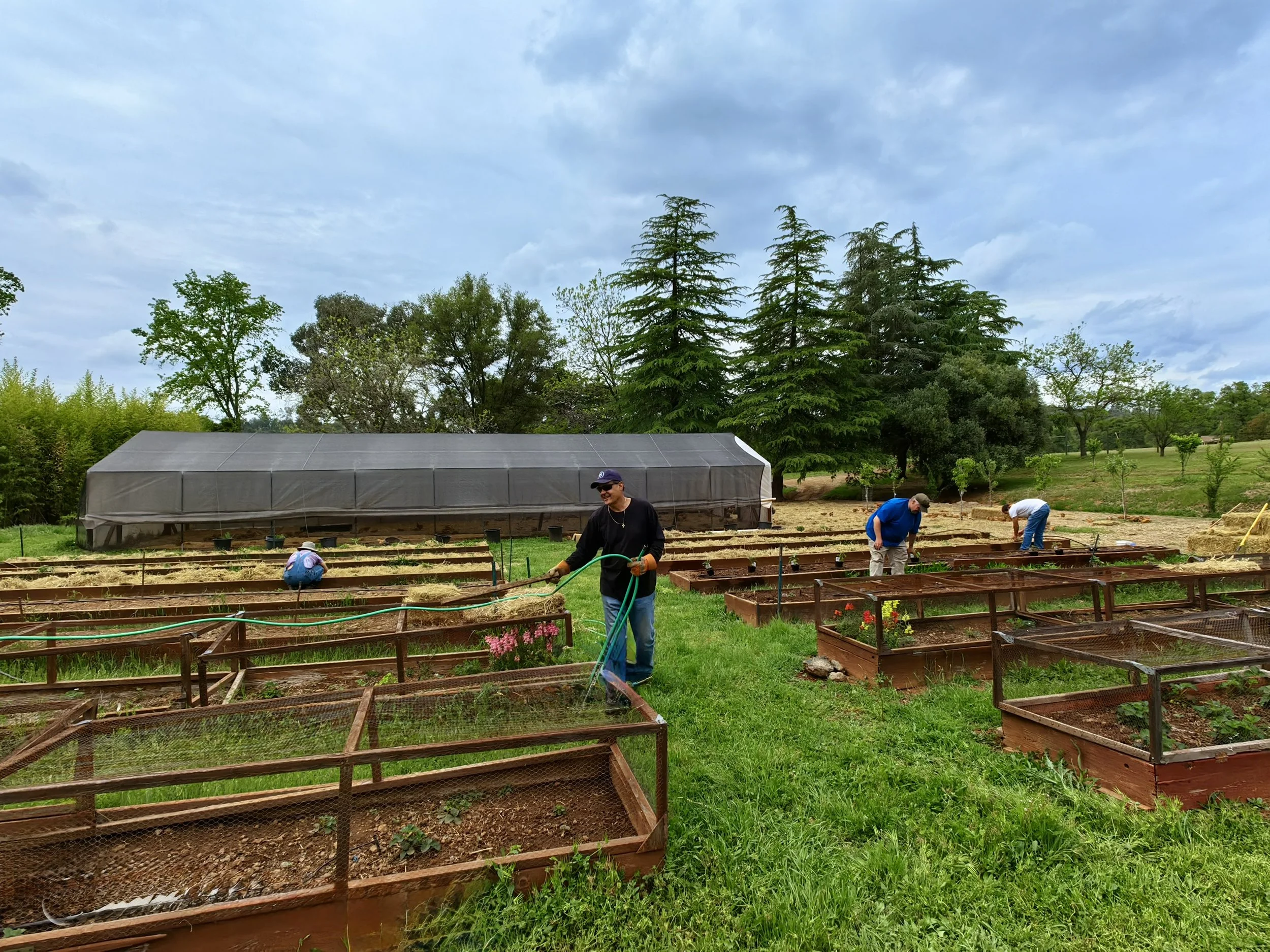 Our Lady's Ranch, Grass Valley, CA. Gardening, happy kids, homestead, Catholic.