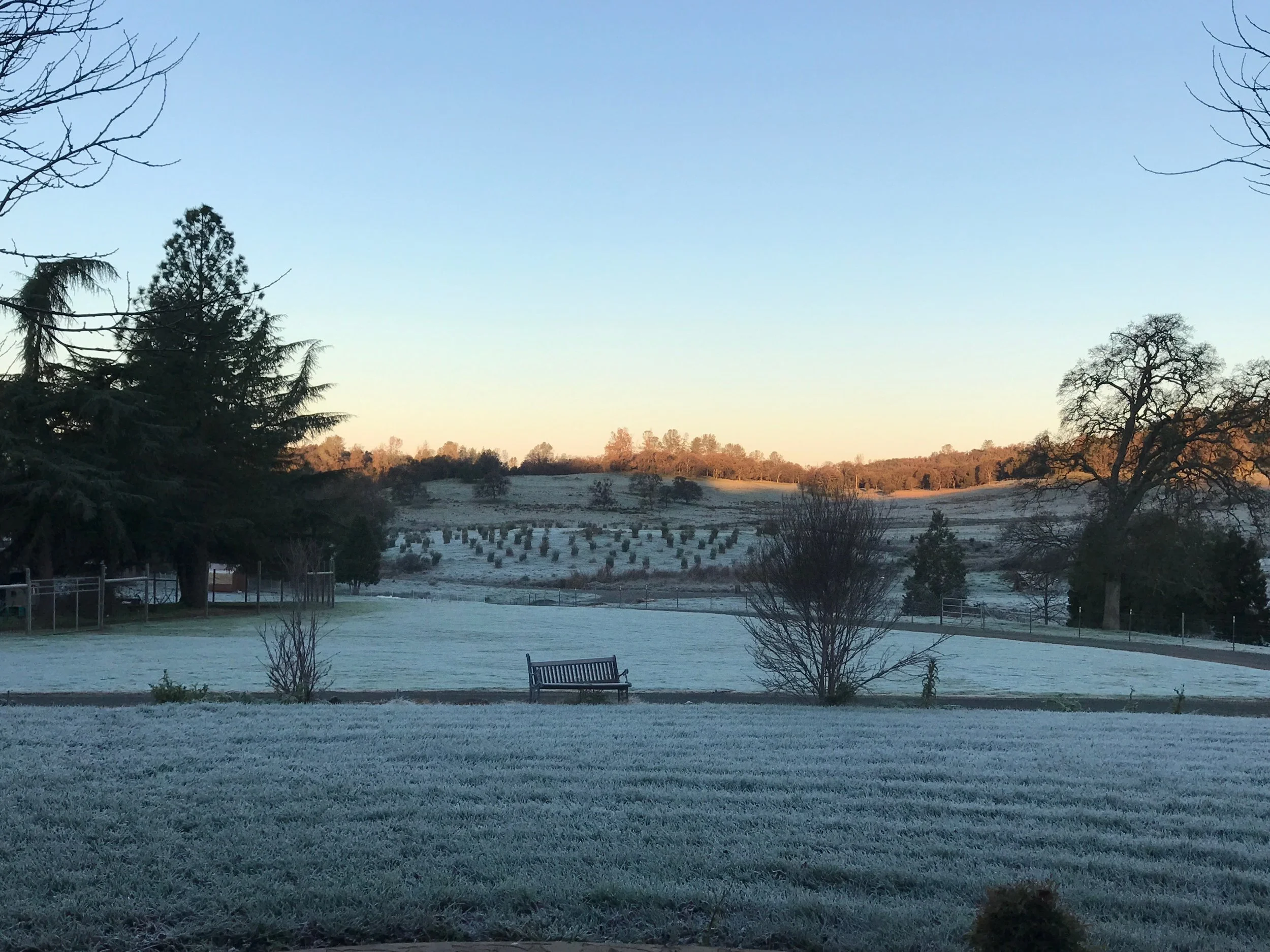 A winter landscape scene with a frosty grassy area in the foreground, a bench, and trees, some without leaves, with hills and a clear sky in the background.