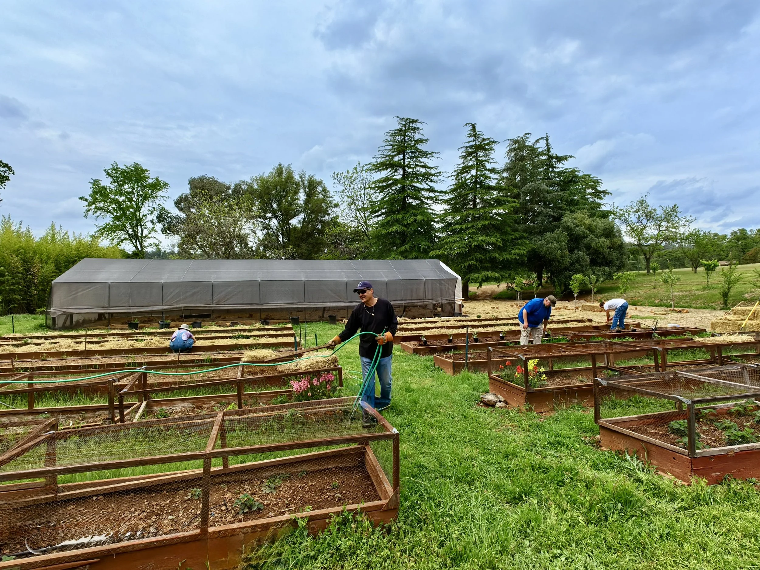 Our Lady's Ranch, Grass Valley, CA. Gardening, happy kids, homestead, Catholic.