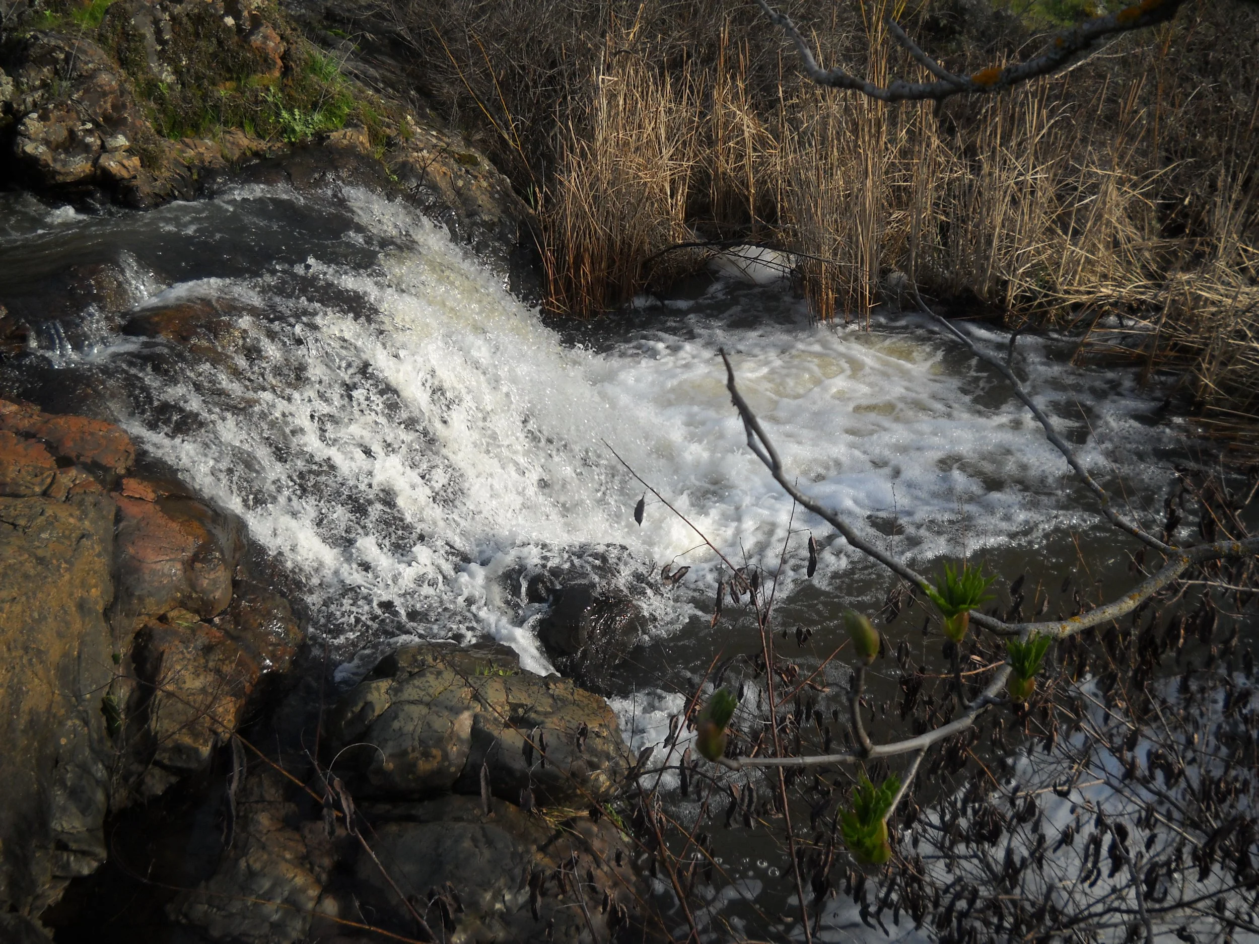 A small mountain stream flowing over rocks with some brown dry grass and branches nearby.