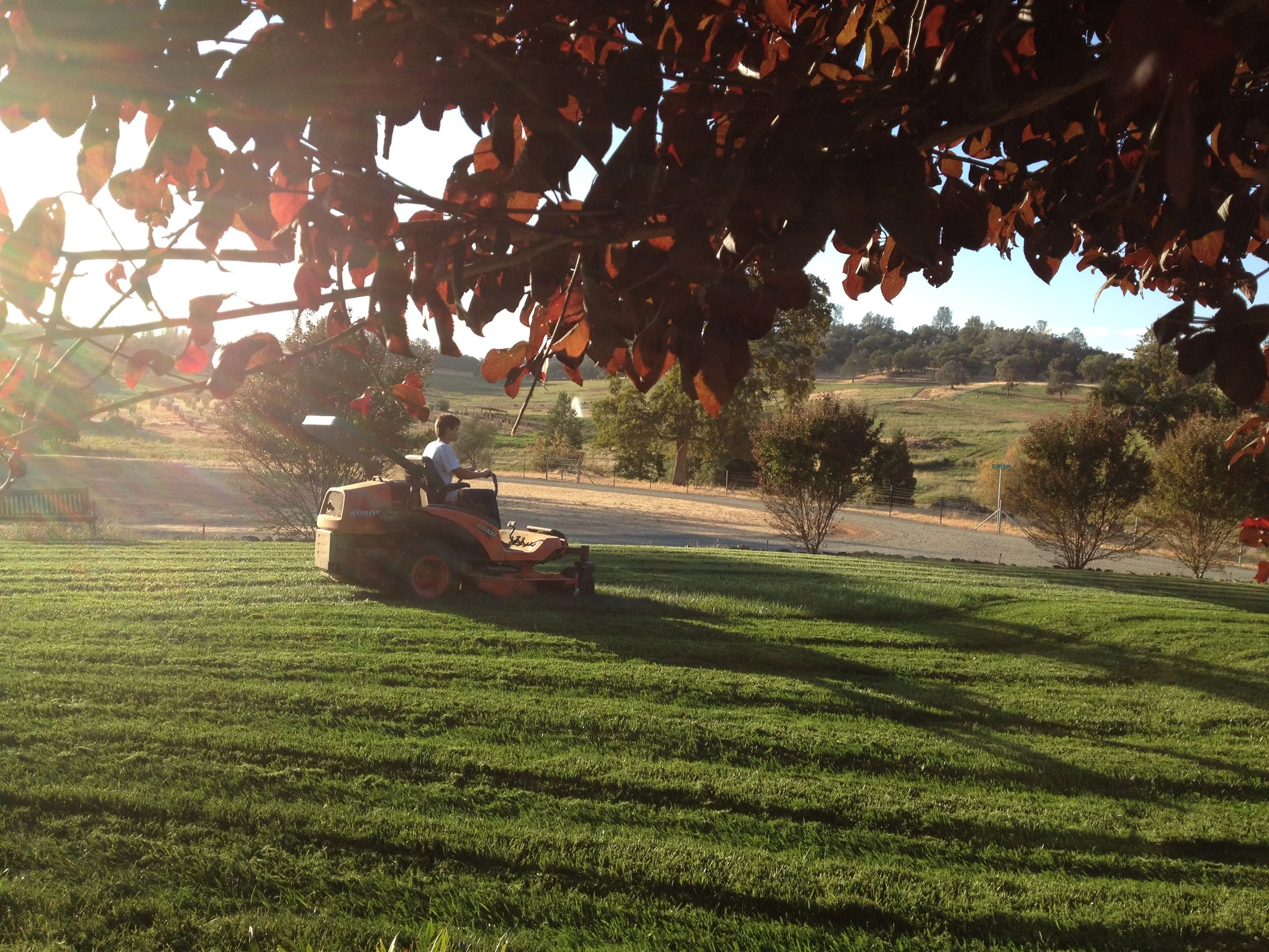A person riding a lawn mower on a grassy area in a park or open space during late afternoon or early evening. Trees and rolling hills are visible in the background, with the sunlight creating a lens flare.