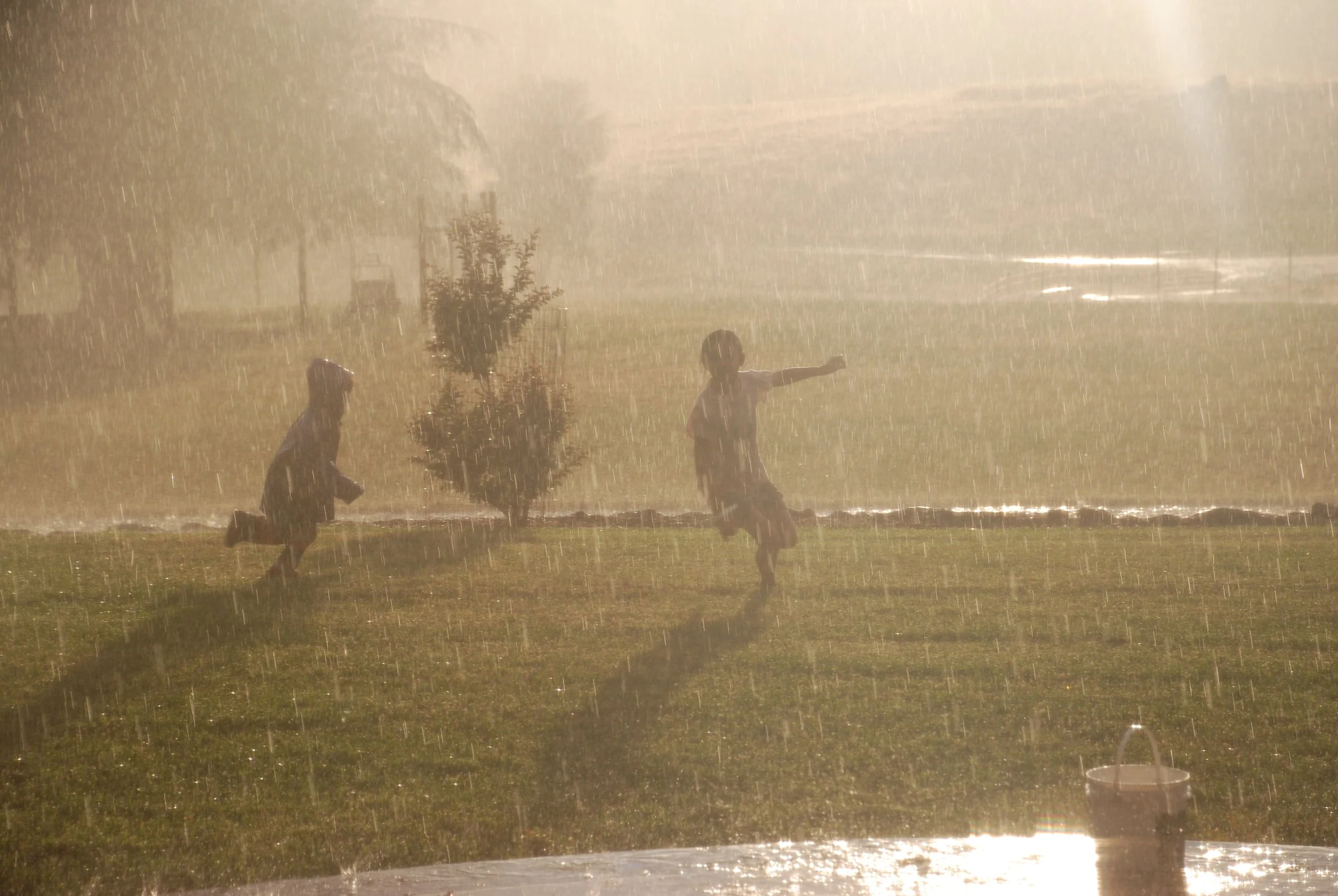 Two children playing in the rain on a grassy field with a tree nearby, illuminated by sunlight.