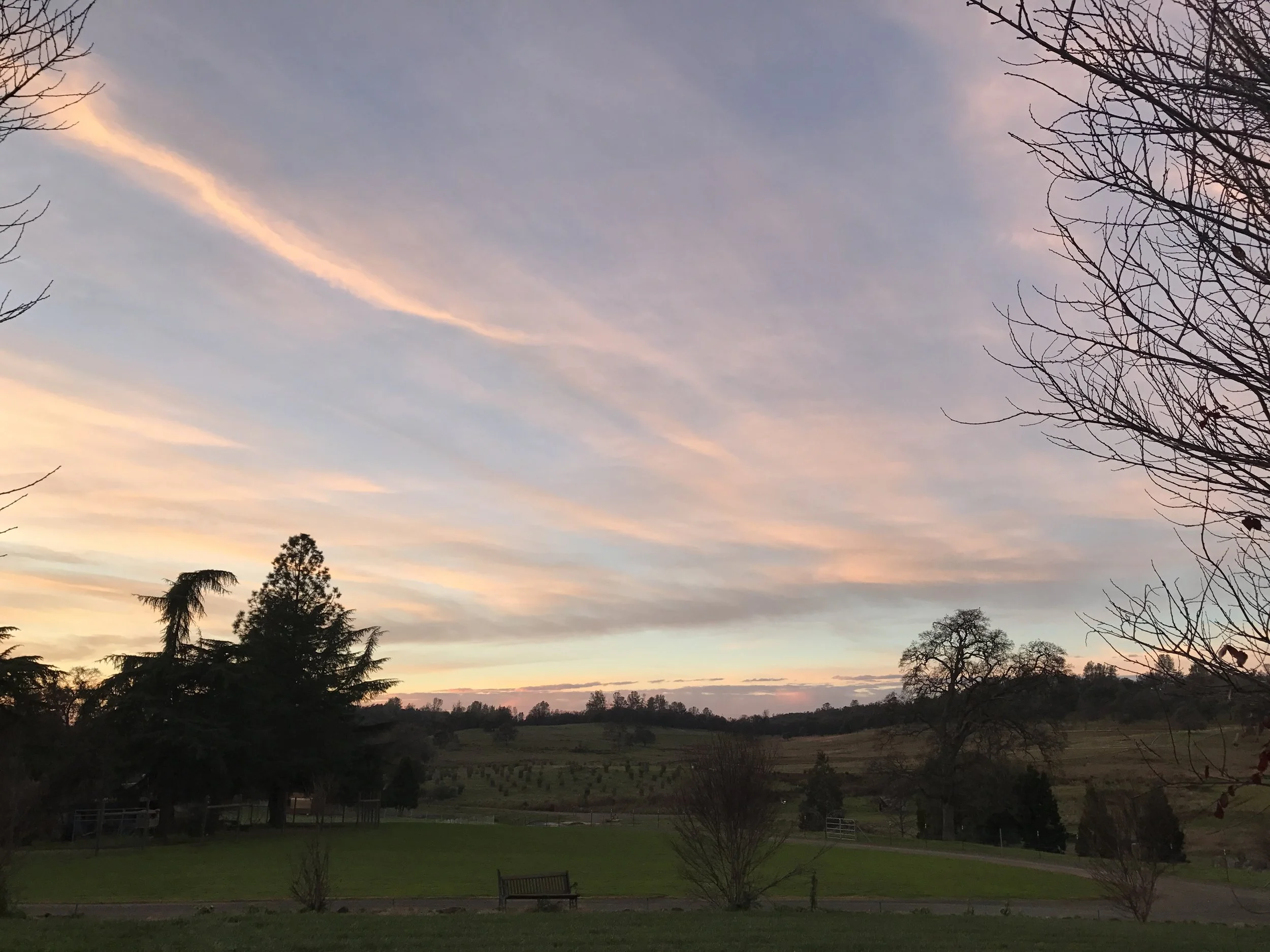 A scenic view of a sunset sky with soft pink and orange clouds over a landscape of trees and open fields, with some leafless trees in the foreground.