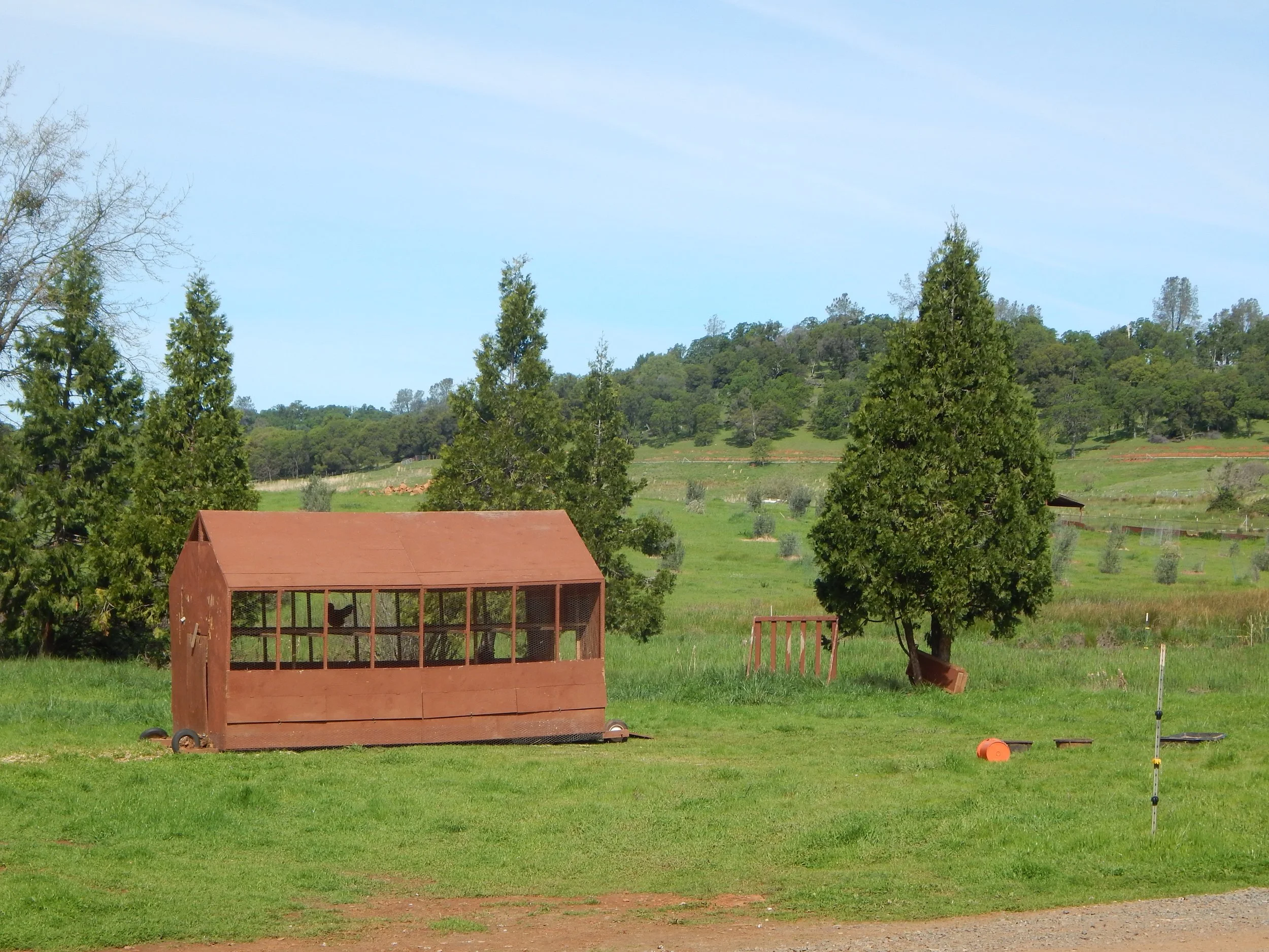 A large, open grassy field with some trees and rolling hills in the background. There is a wooden mobile chicken coop in the foreground, and various gardening or farming equipment scattered around.