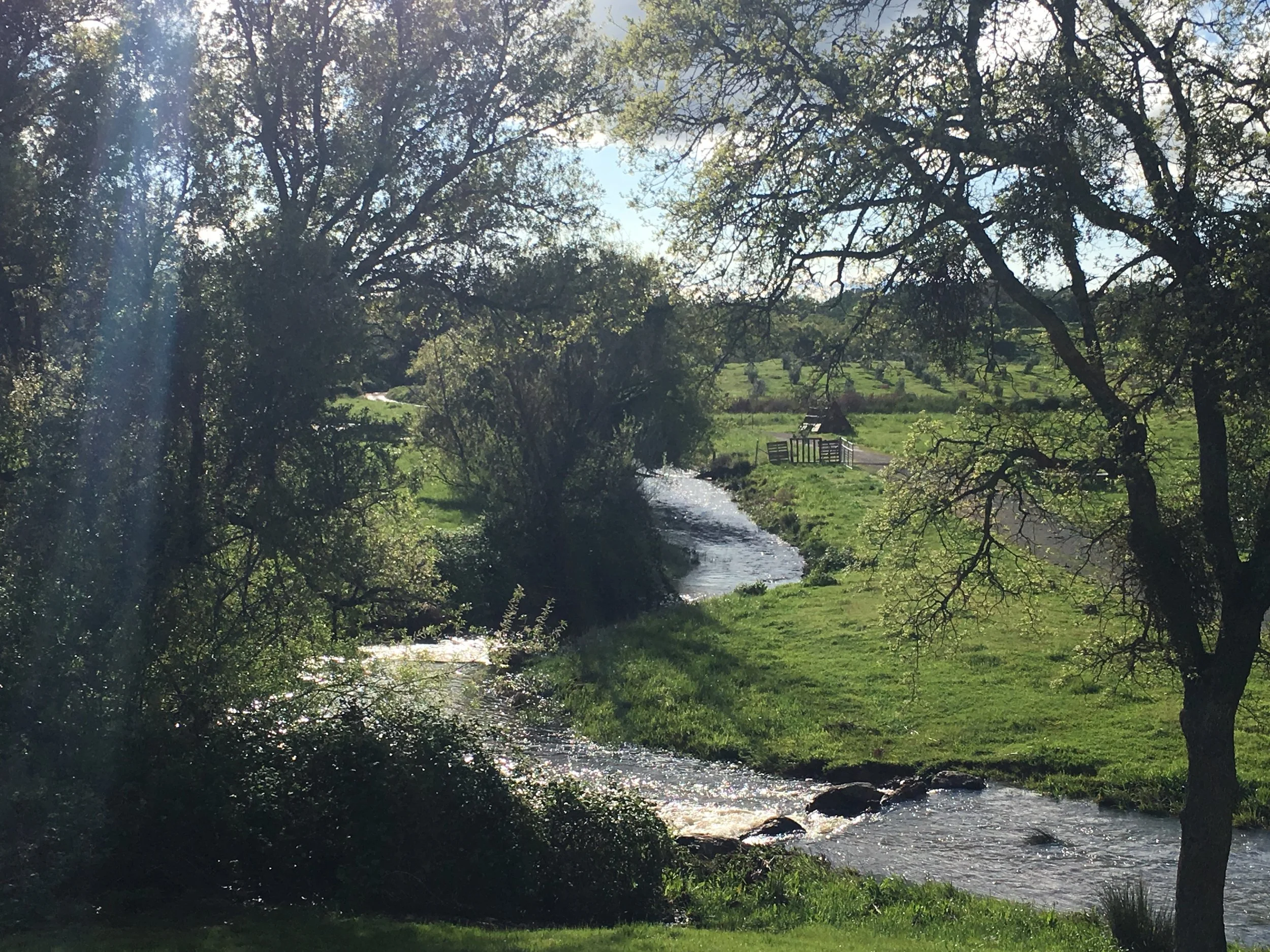A scenic view of a small river flowing through a lush green landscape, with trees arching over the water and a small wooden bridge in the distance under a partly cloudy sky.