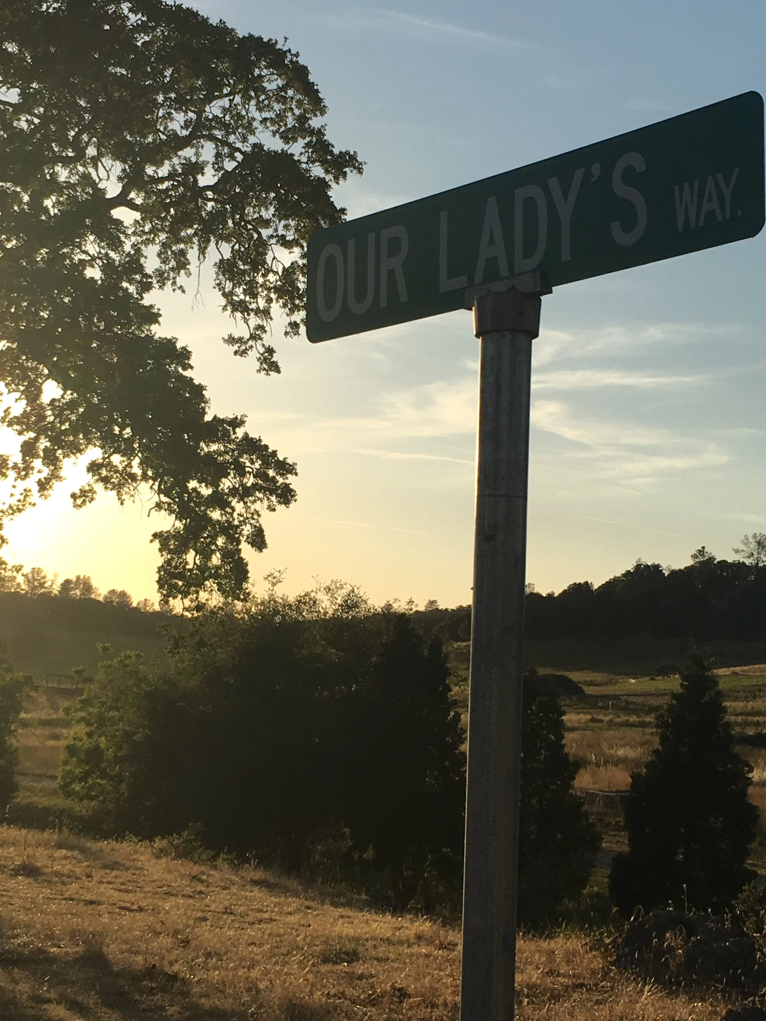 Street sign reading 'Our Lady's Way' with a backdrop of trees and a sunset sky.