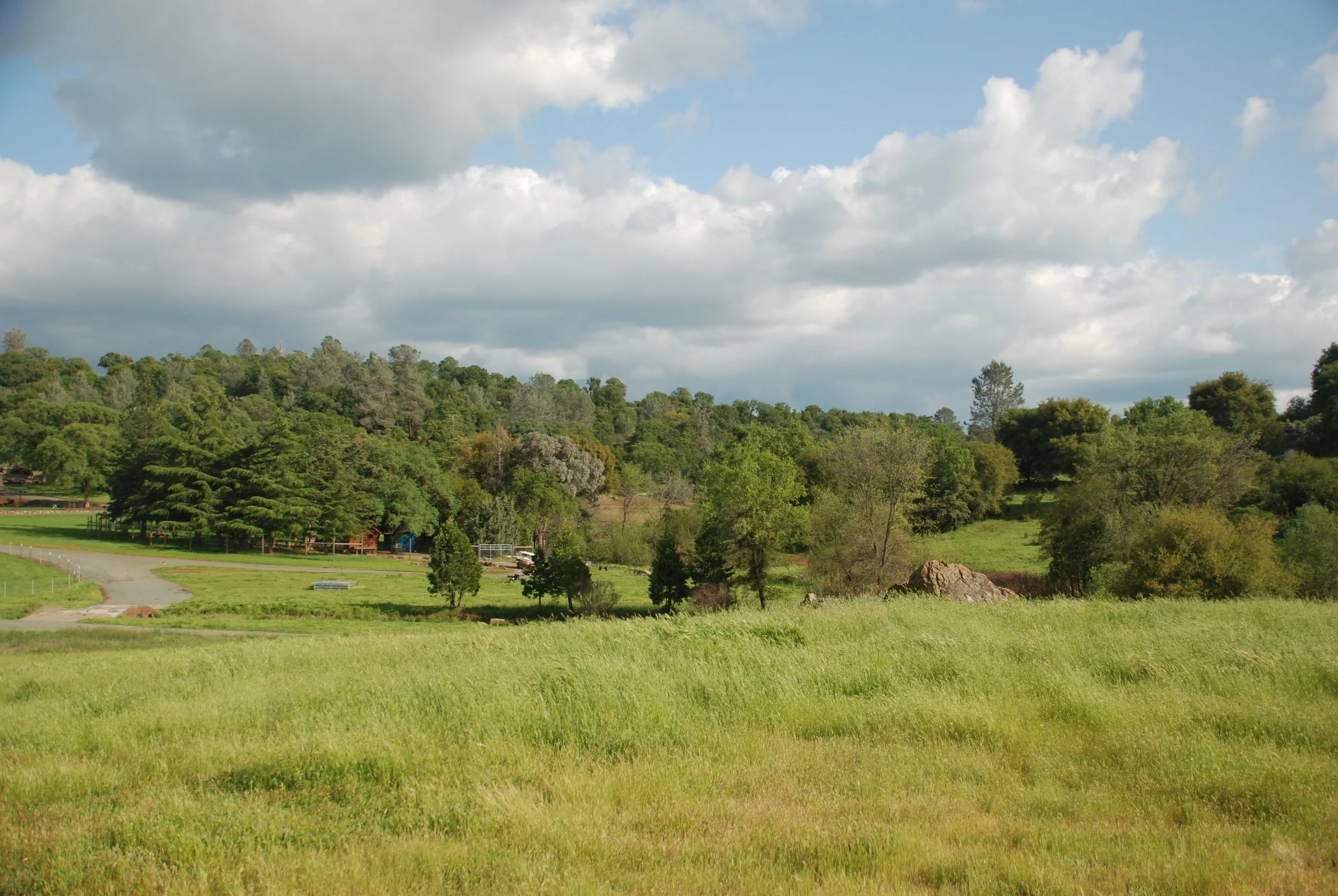 Open grassy field leading to wooded hills under partly cloudy sky.