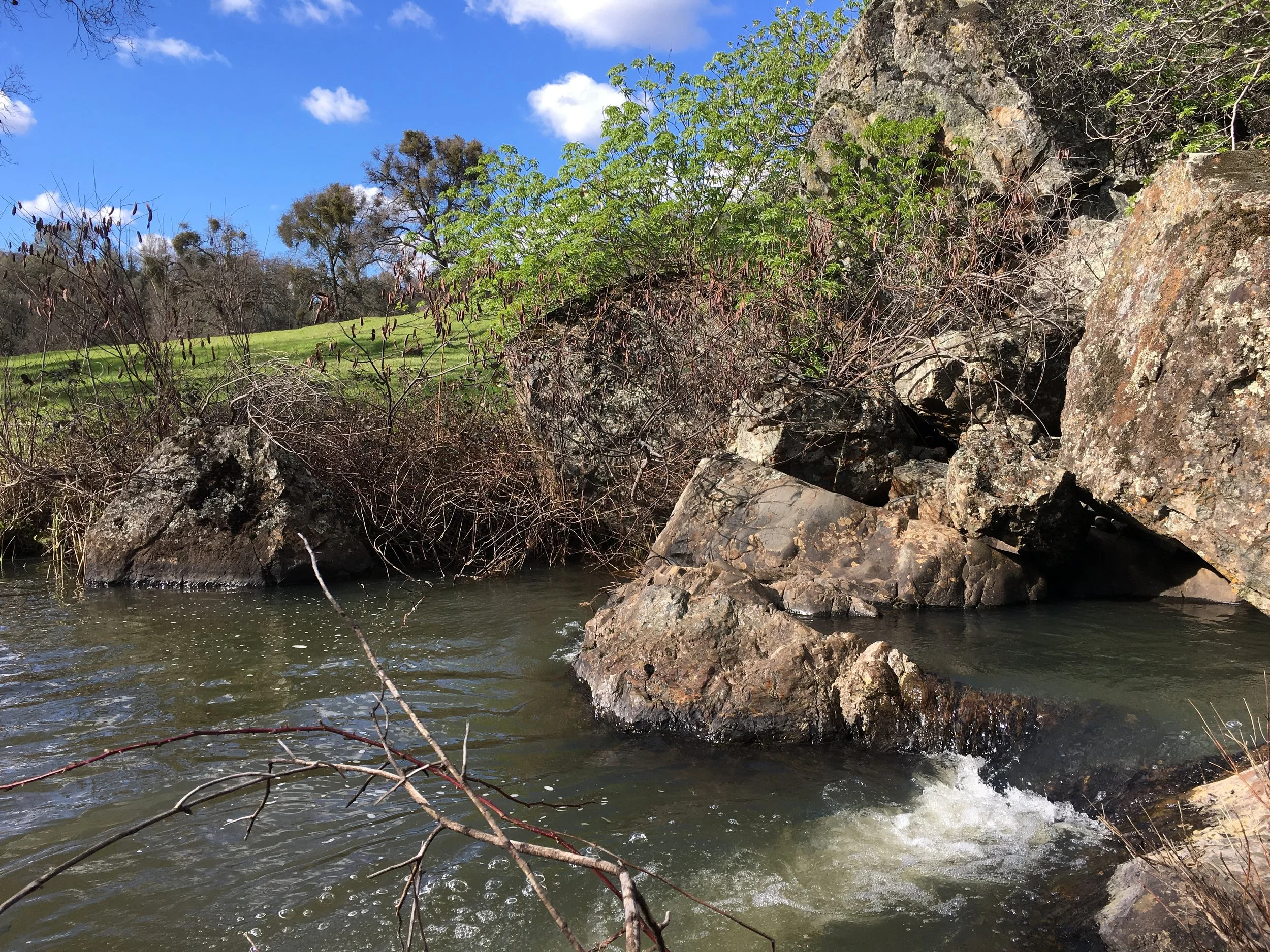 River flowing over rocks with green trees and blue sky with clouds in the background.