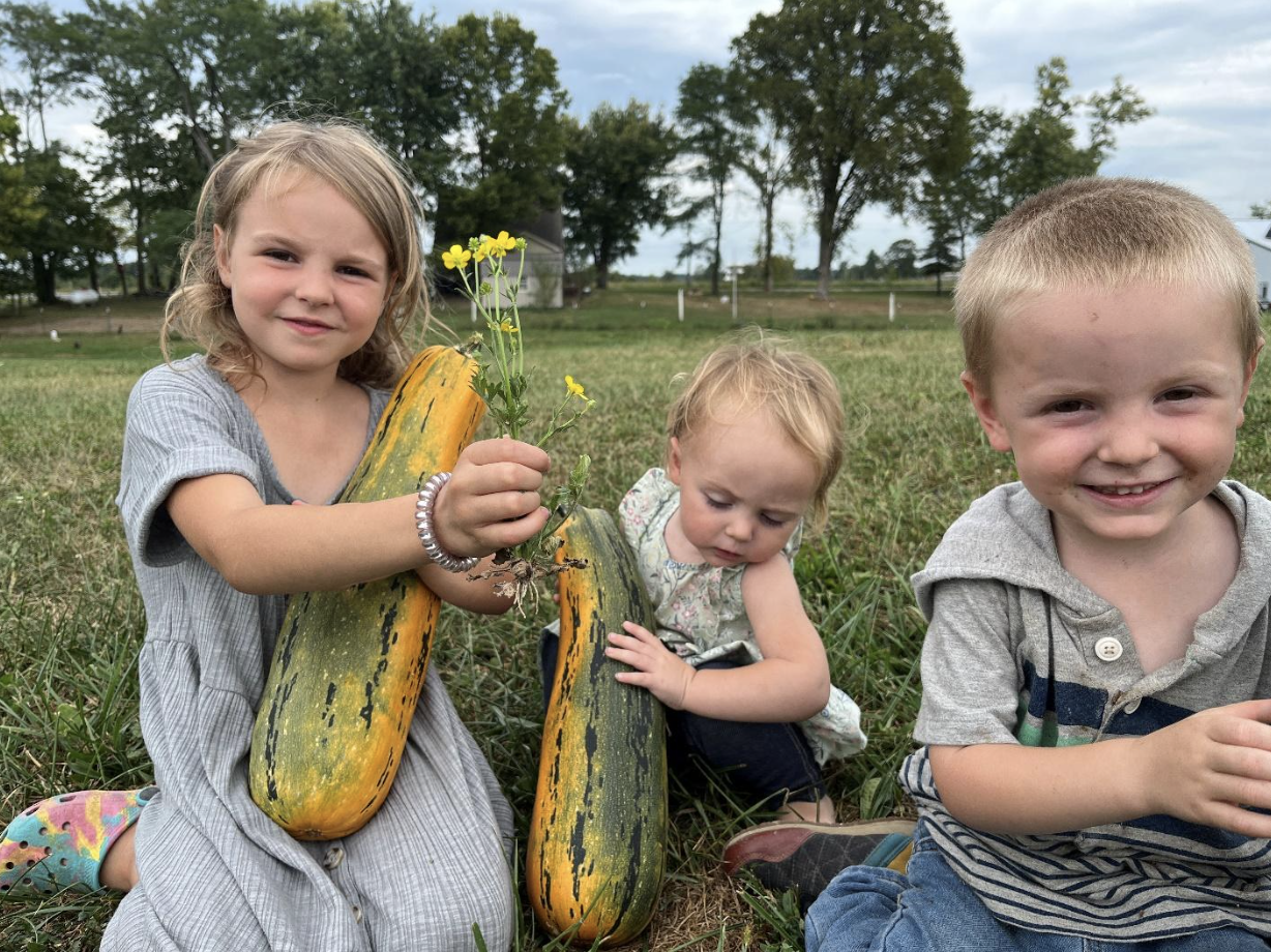 Little Way Farm and Homestead — Our Lady's Ranch