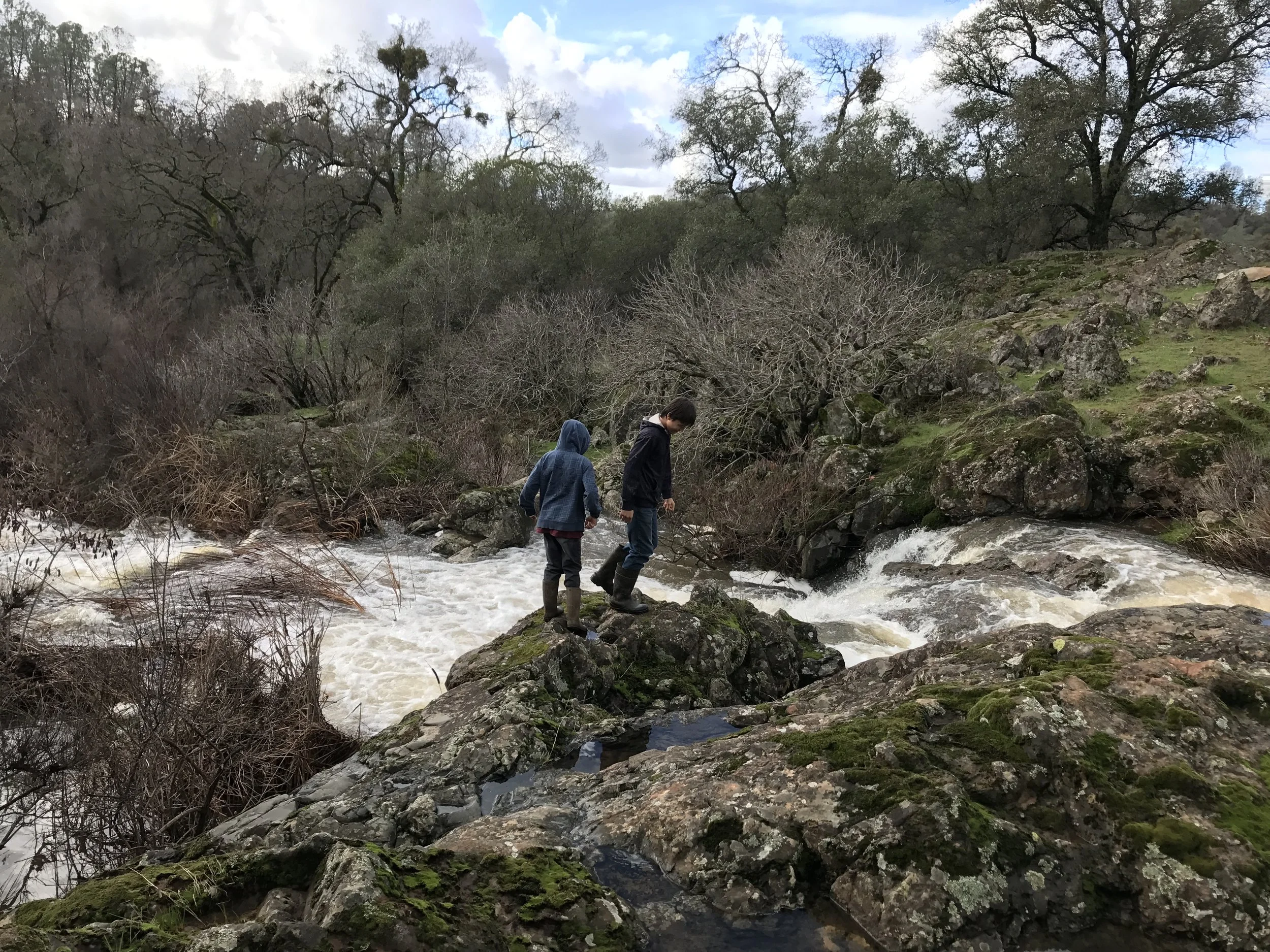 Two children walking across rocks and a flowing stream through a forested area with leafless trees, moss-covered rocks, and a partly cloudy sky.
