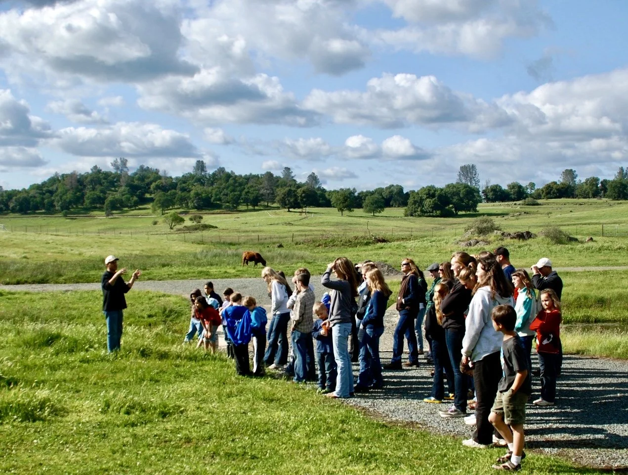 Our Lady's Ranch, Grass Valley, CA. Young children helping each other, living a life of positive uplift, siblings.