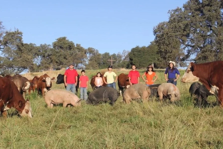 The seven Zeiter children standing in a field surrounded by cows and bigs, with a large cross and oak trees in the background and a blue sky overhead.