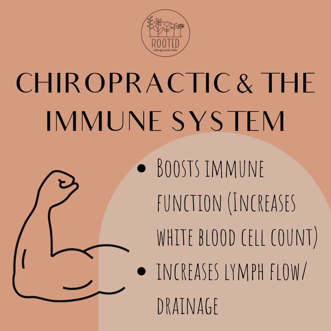 Did you know that chiropractic actually increases your white blood cell count (the main players in your immune function)? 💪🏼 👊🏼​​​​​​​​
​​​​​​​​
Getting adjusted regularly helps your immune system function at its optimal potential ⚡️⚡️ When your 