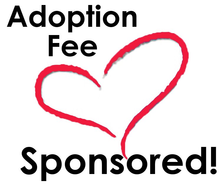Adoption Fee Sponsored.jpg