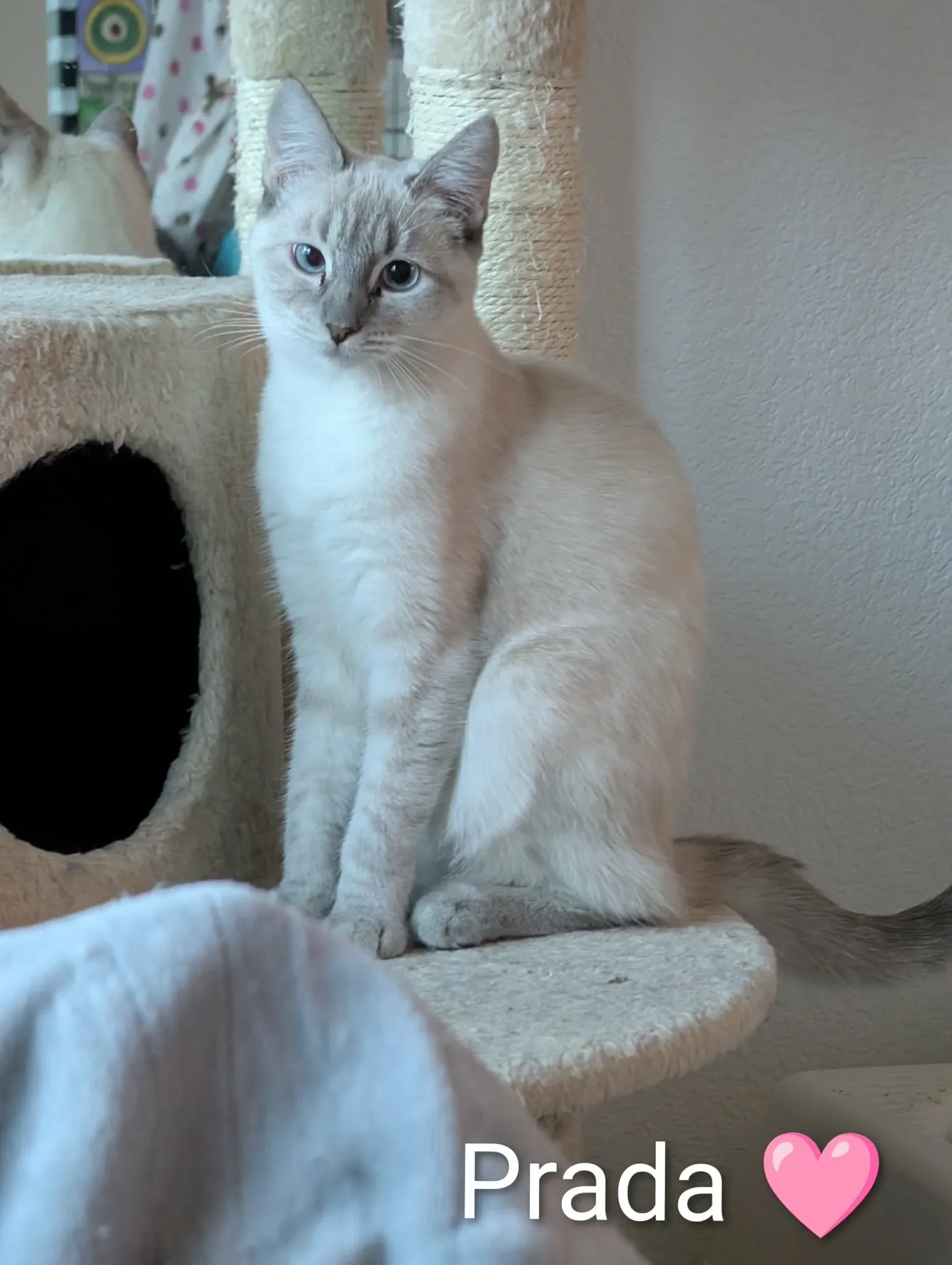 42268d28-0ed9-447d-b954-b4233f0fb9fd (1).webp