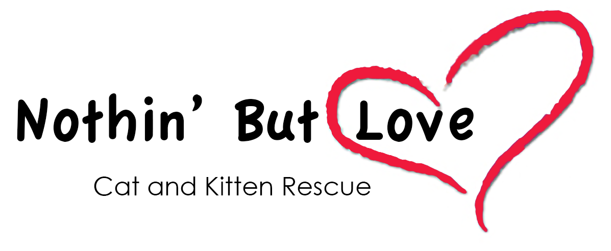 Nothin&#39; But Love Cat And Kitten Rescue