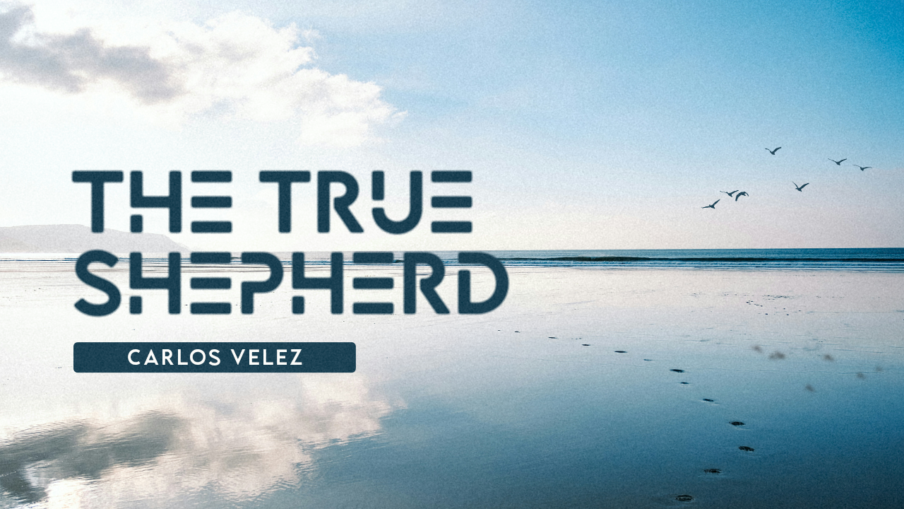 The True Shepherd