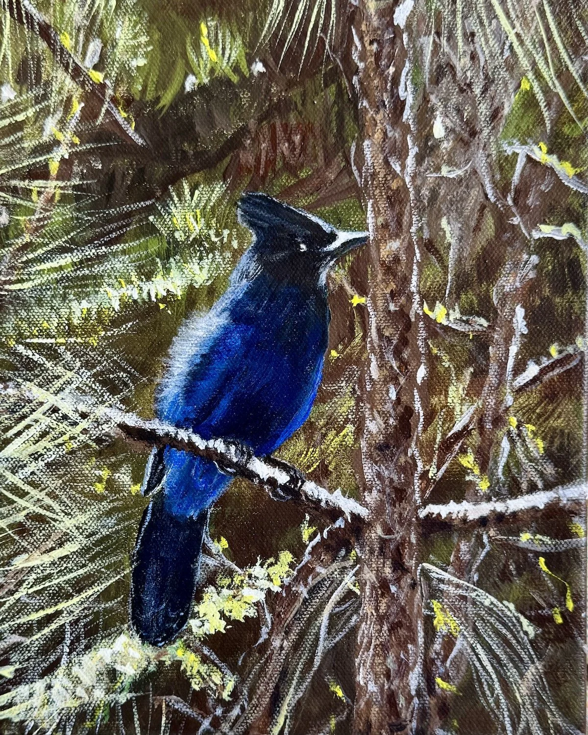 "Winter Blue Bird, Sisters Oregon", 8" X 10", Acrylic, $170