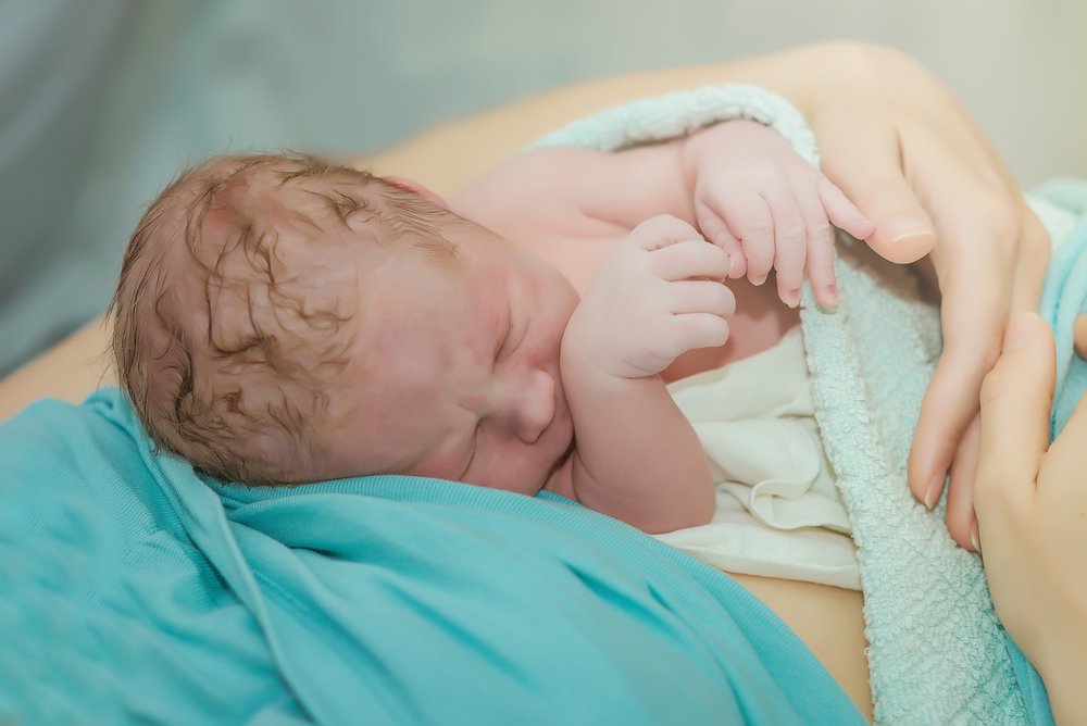6 Amazing Reasons Your Newborn Wants to be Held — Bay Area Breastfeeding &  Education