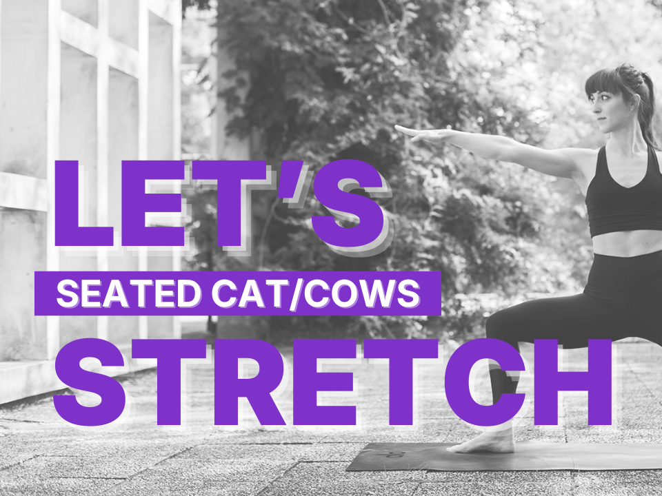 SEATED+CAT_COWS.png