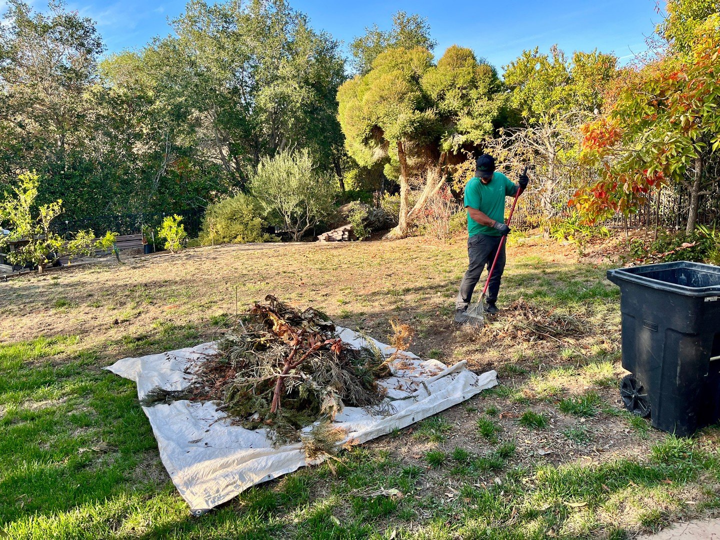 Tired of yard debris piling up? 🍃 We handle it all! Green Guys Junk Removal offers efficient and eco-friendly junk removal services for San Luis Obispo County. Let us clear your space so you can enjoy it! Visit greenguysjunk.com or call (805) 279-46
