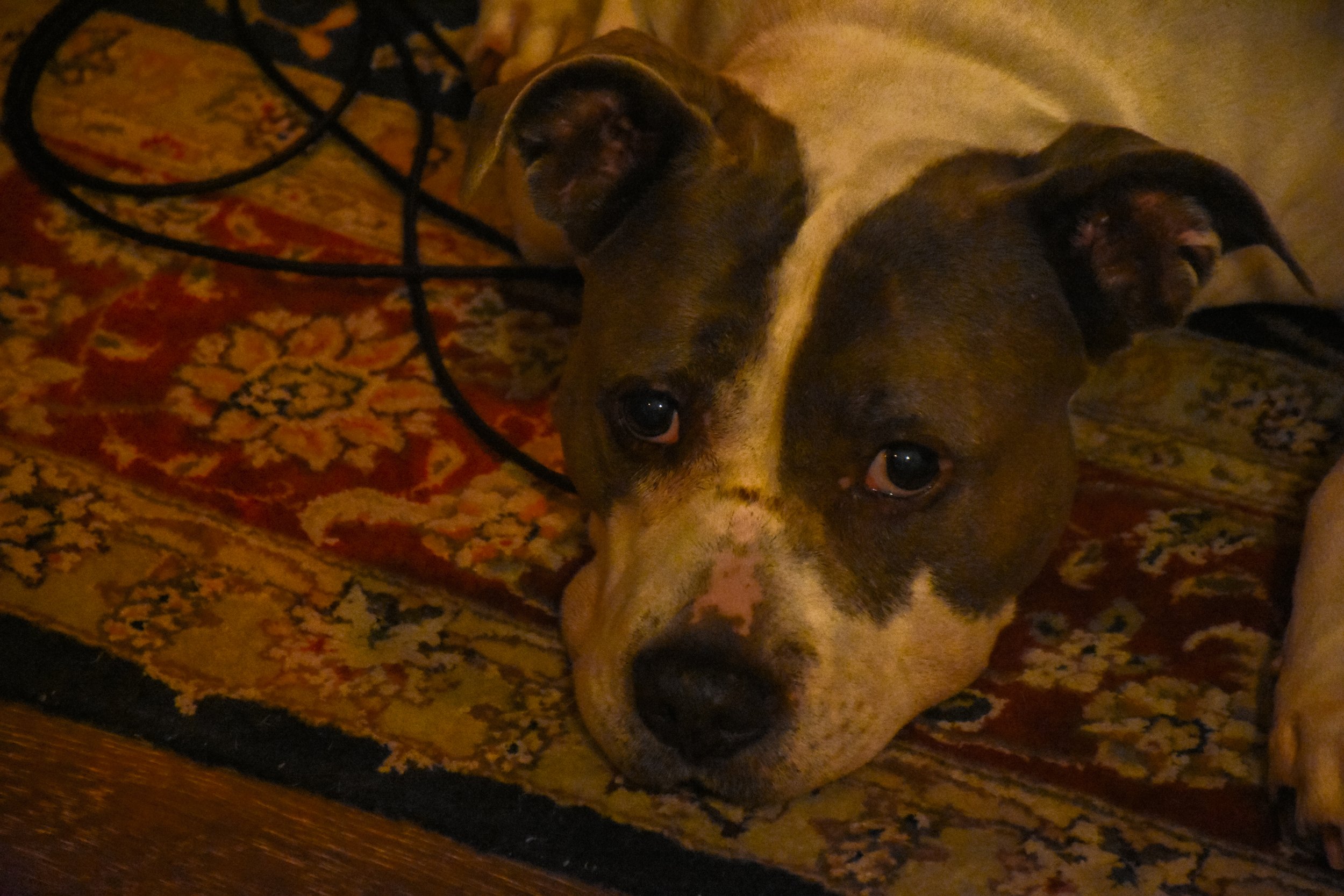 2022-0928-NC-EDIT-101.jpg