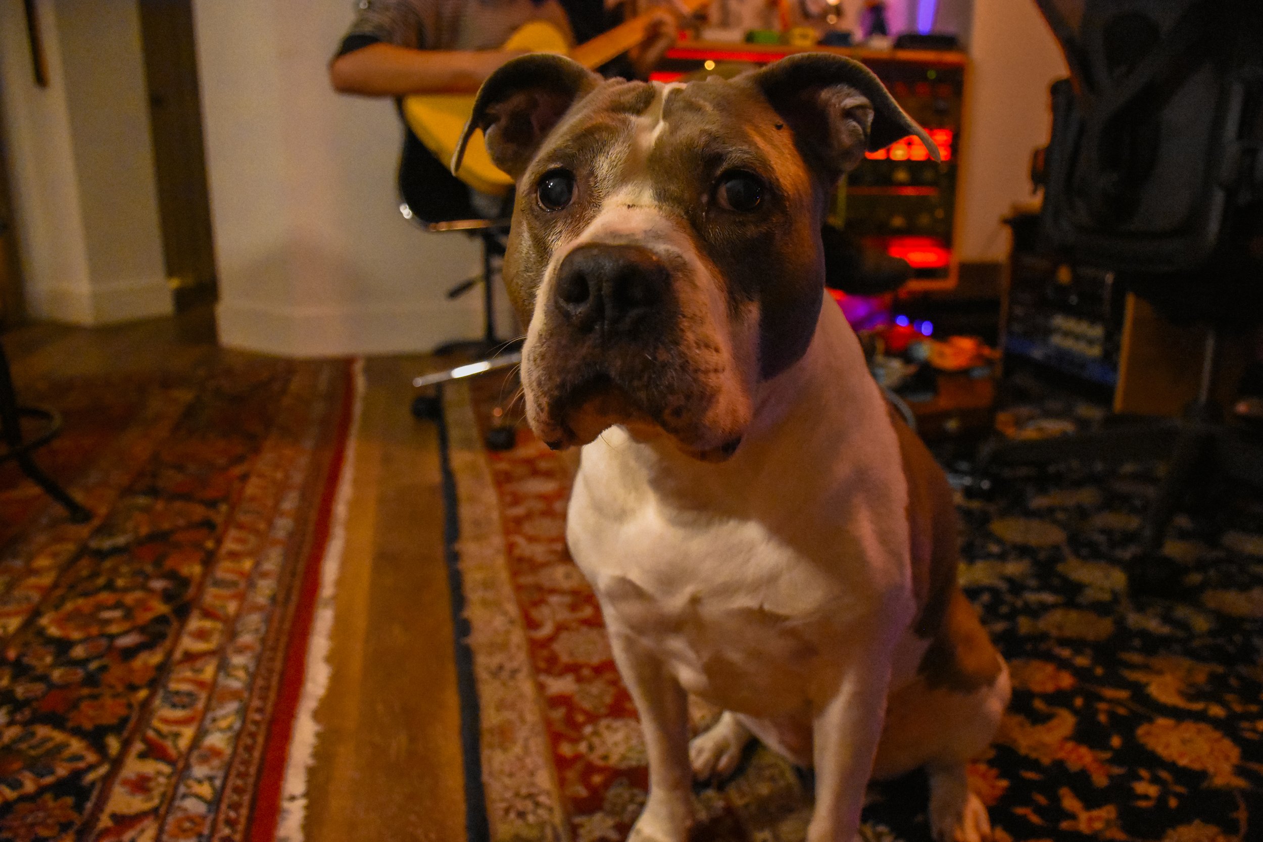 2022-0928-NC-EDIT-112.jpg