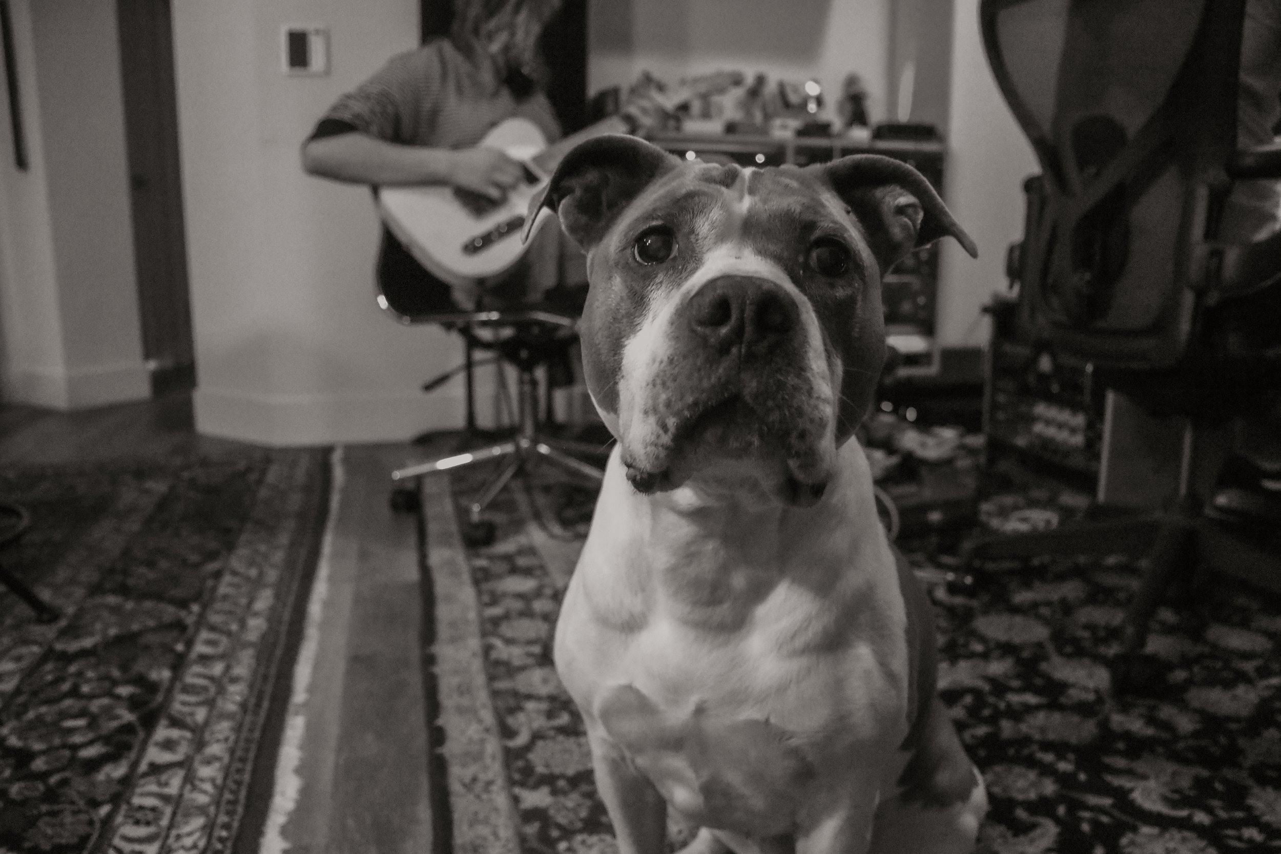 2022-0928-NC-EDIT-111.jpg