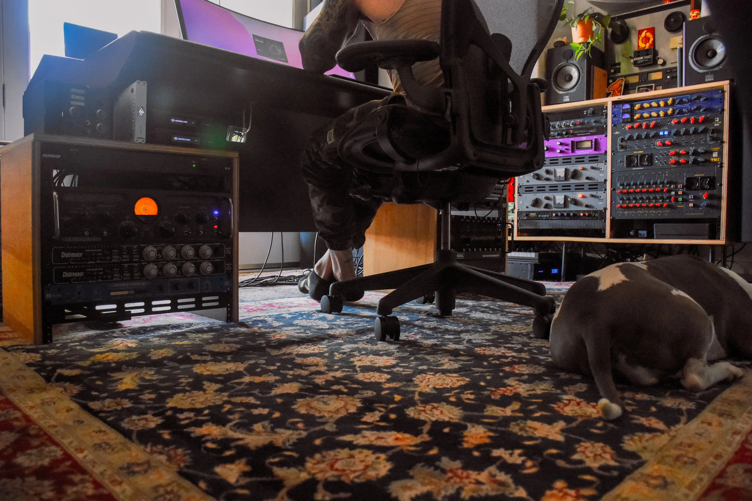 TANDON DOGHOUSE: Molly, this caption is for you. Ruff ruff, ruff ruff ruff. RUFF! 