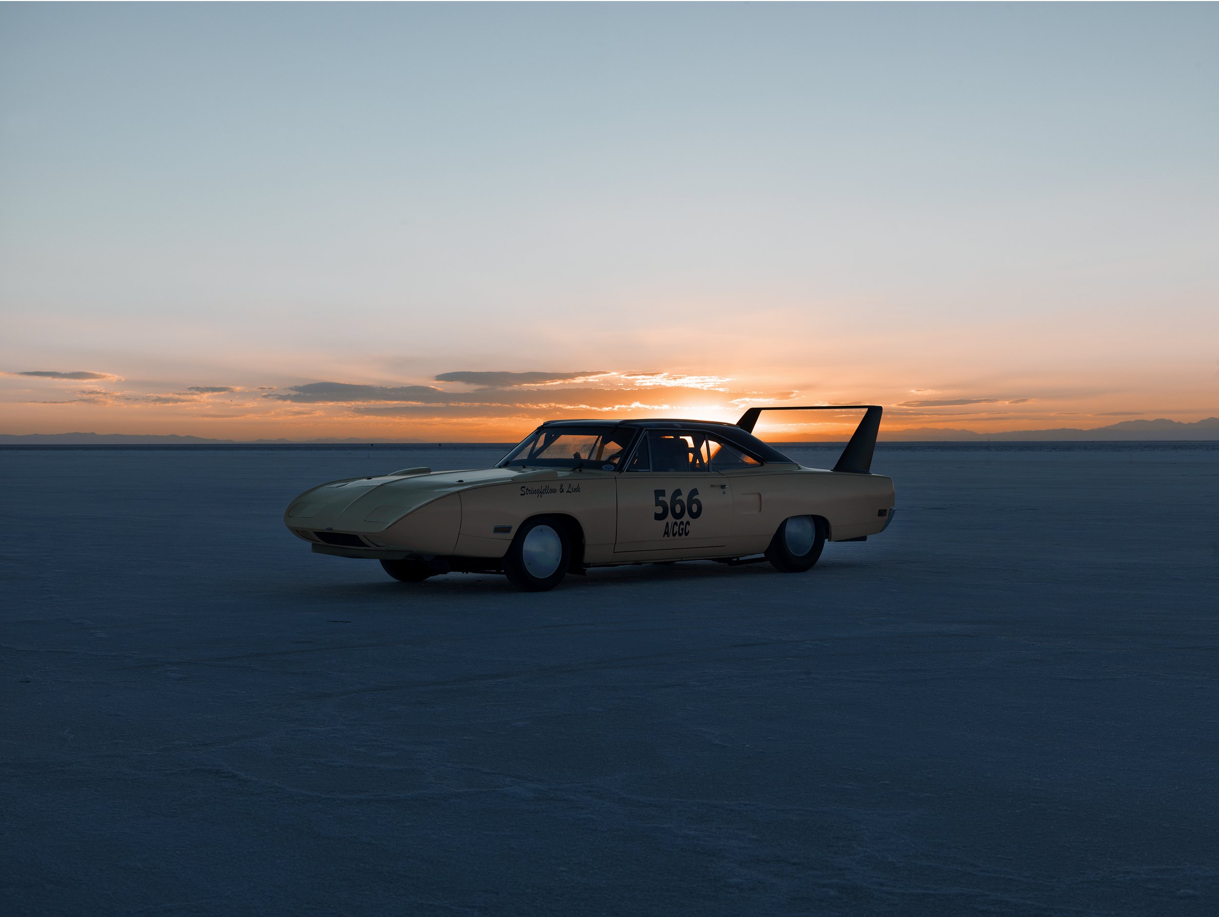 Speed #7.jpg