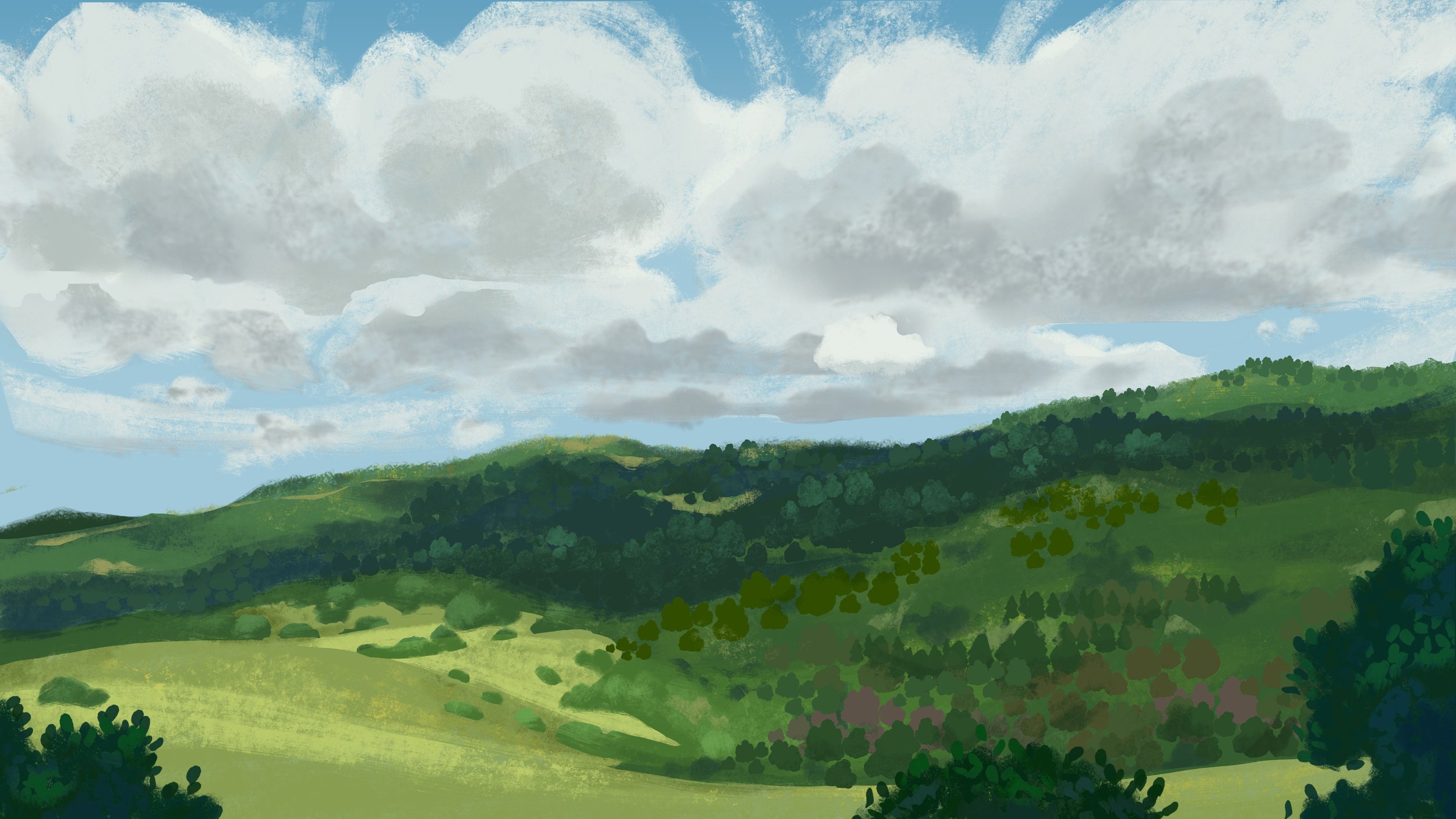 foothills4 copy.jpg