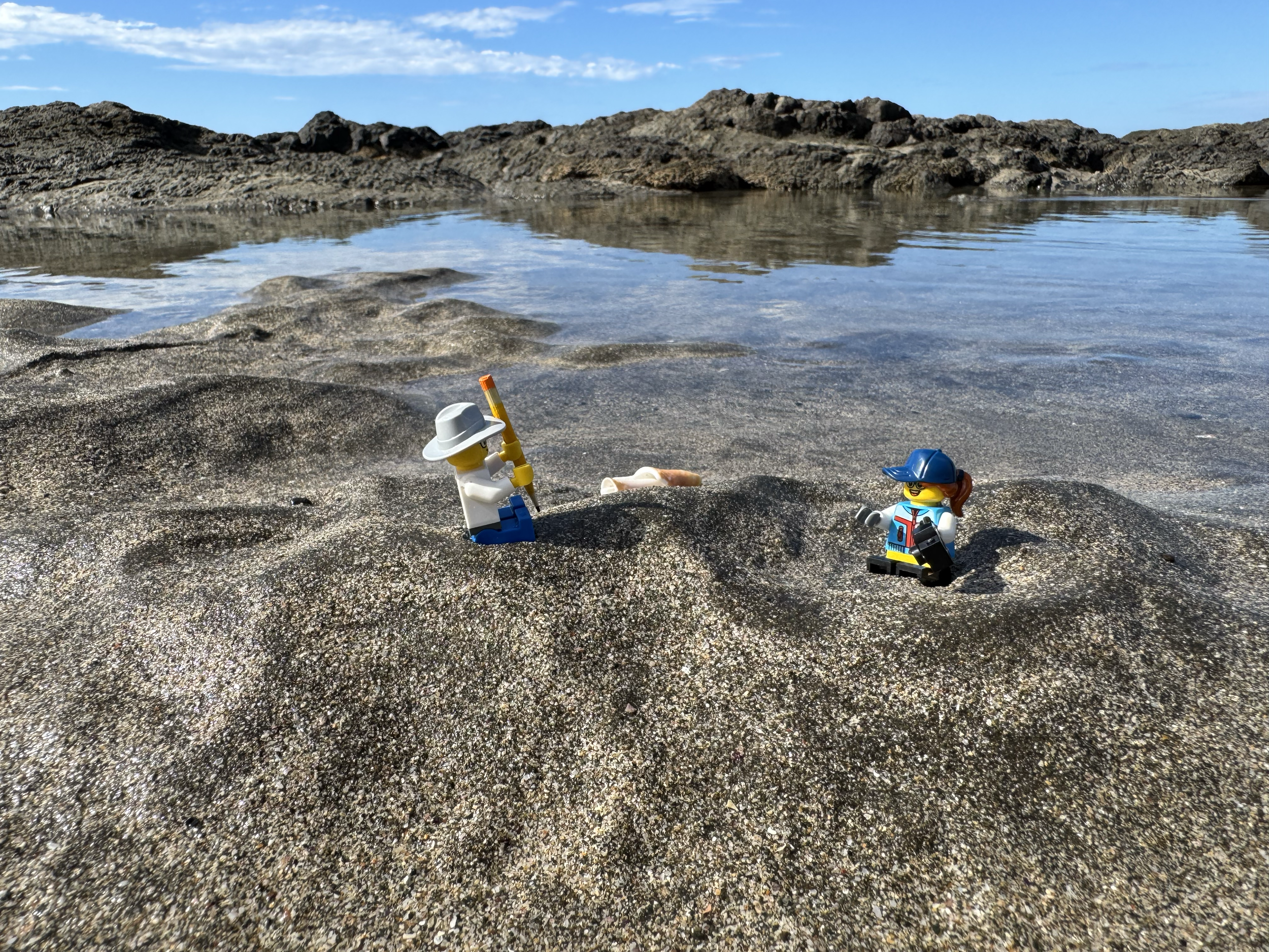 Until she noticed that the tide had turned, Nova felt that their day at the beach had been going swimmingly.