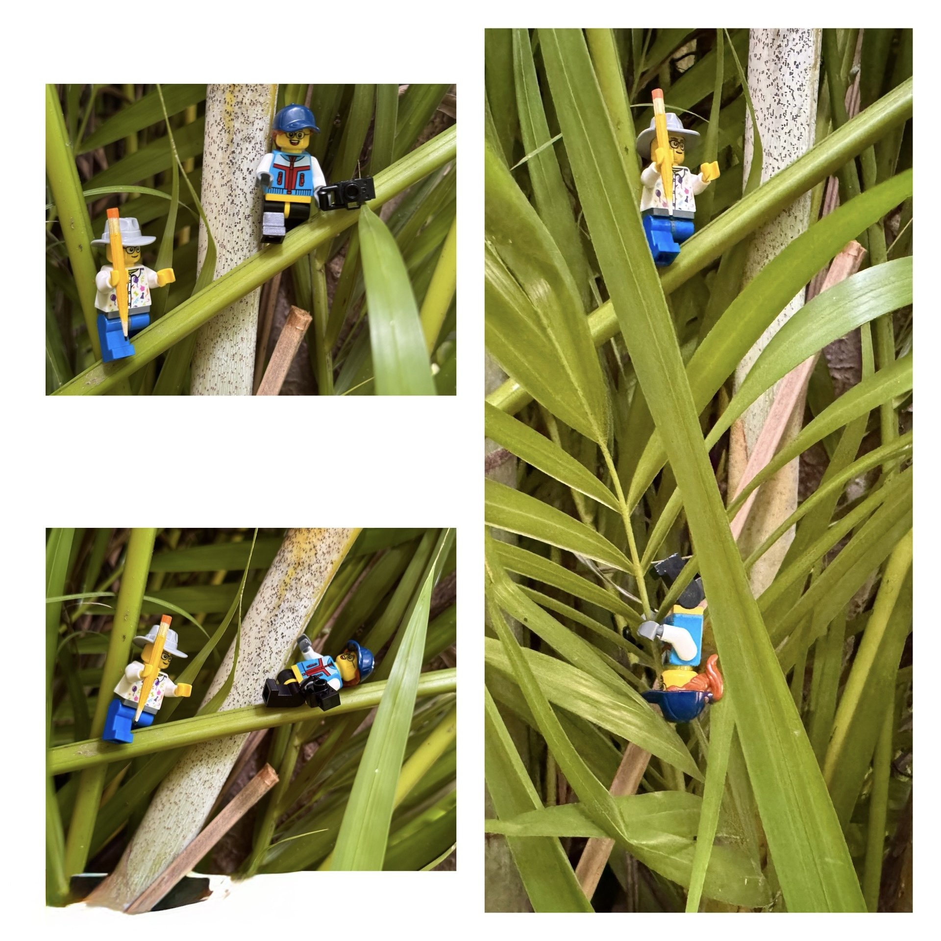 The hike started out reasonably well but it quickly reached a point where Nova started to question Drew's idea of exploring the jungle without a guide.