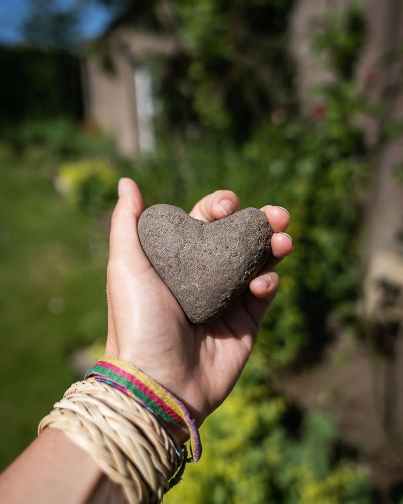 RISE WILD - GROW
My garden has taught me to rest and grow
To trust the process and let life flow
To plant a seed where all is dark
And watch it emerge at the sparrows fart

This little number came out of my head this morning as I was watching the rai
