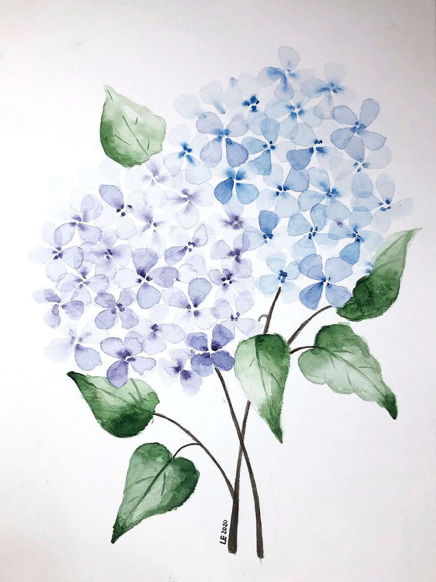 P1.jpg
