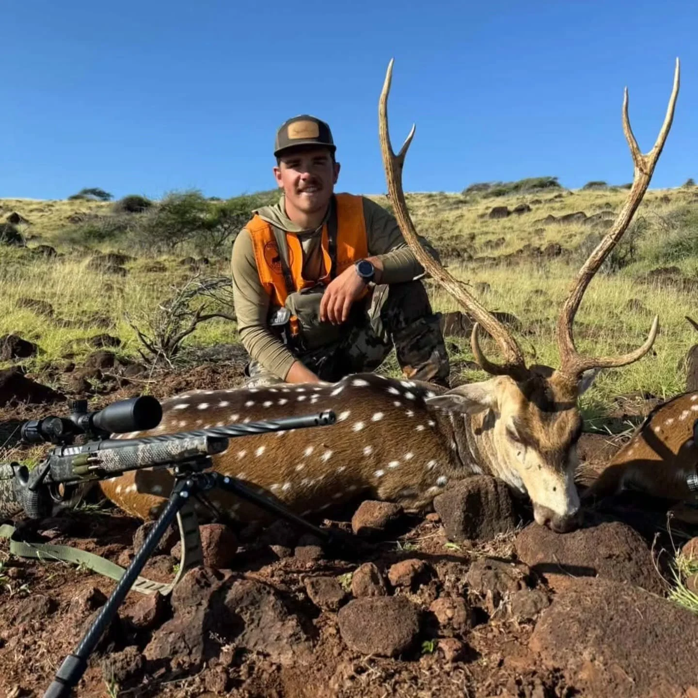 @kodee_smith01 wackin a big ol axis buck. Running a 6MM CREEDMOOR and the nastiest 24cal out there, 93GR COPPER ROSE 🌹 makes an incredibly effective big game system.
Thank you to the Smiths as always!!!

#mcguireballistics #copperrose #axisdeer