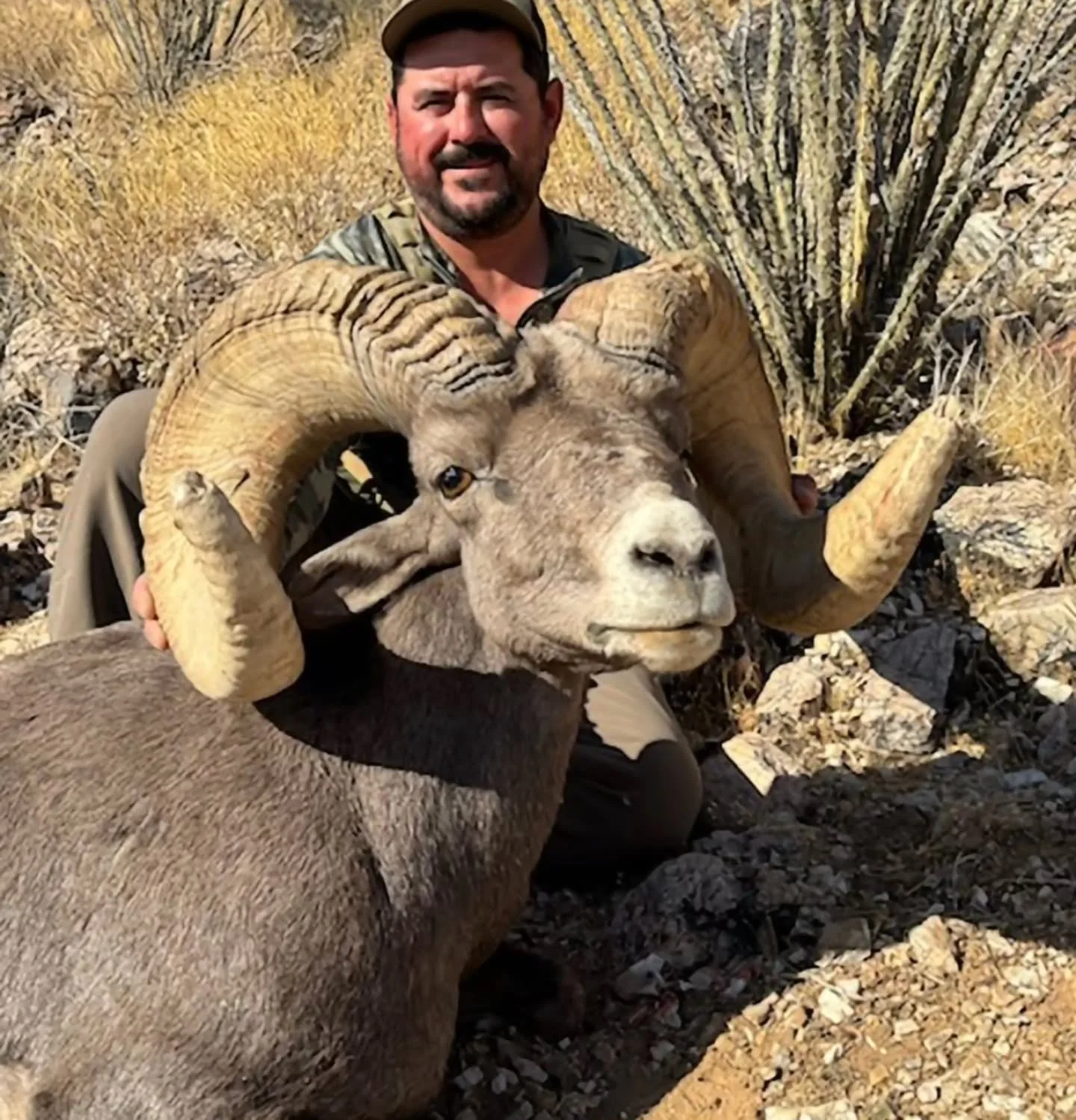 My buddy @skirklandconstruction with an absolute slob ram. Amazing job Shane!!!

28 Nosler 
143GR CRSF 
3325MV 

#mcguireballistics #copperrosebullet #sheephunting #28nosler #longshotsandshortbloodtrails