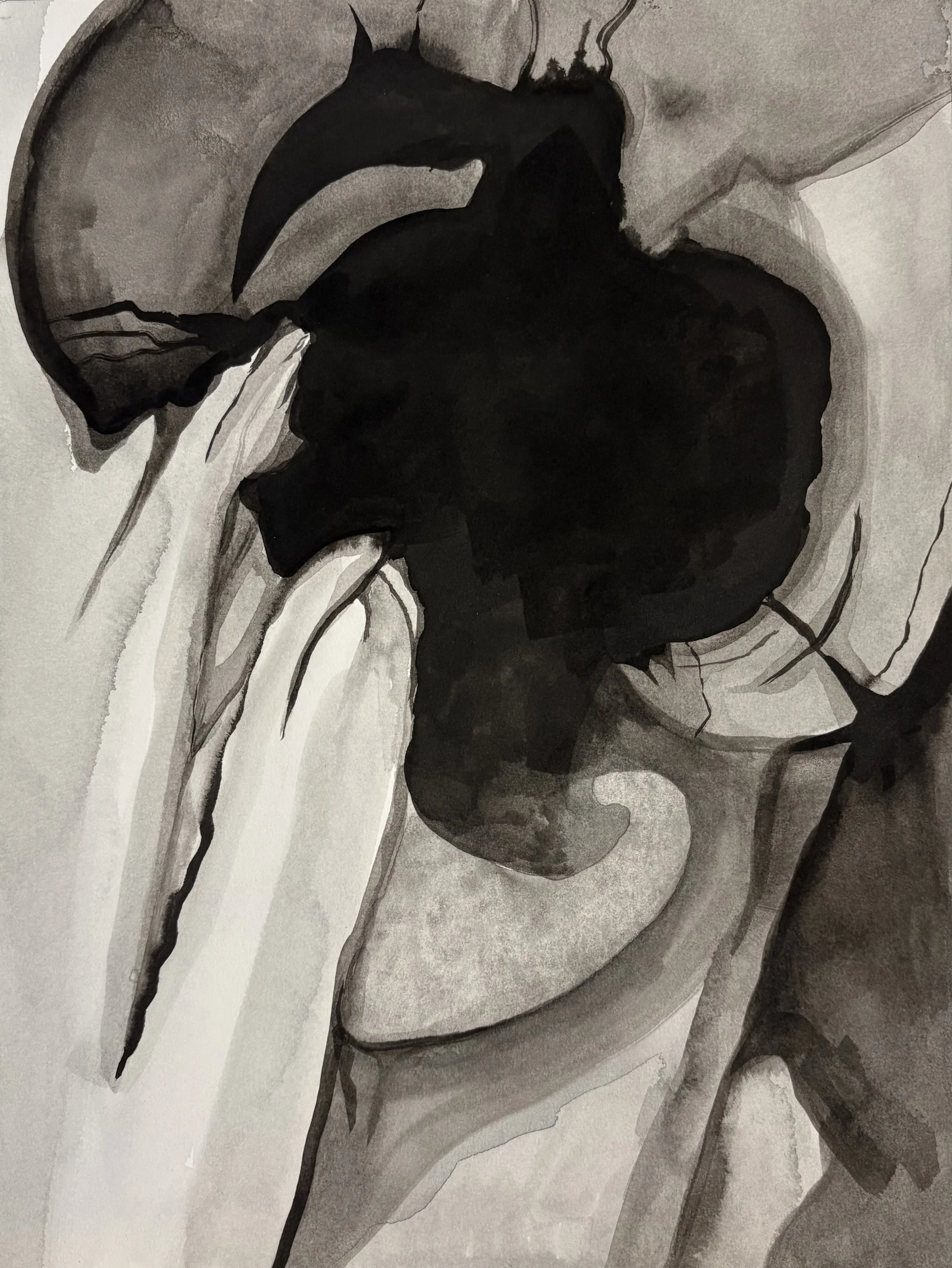 "Untitled", ink on paper, 12 x 9 inches, 2026