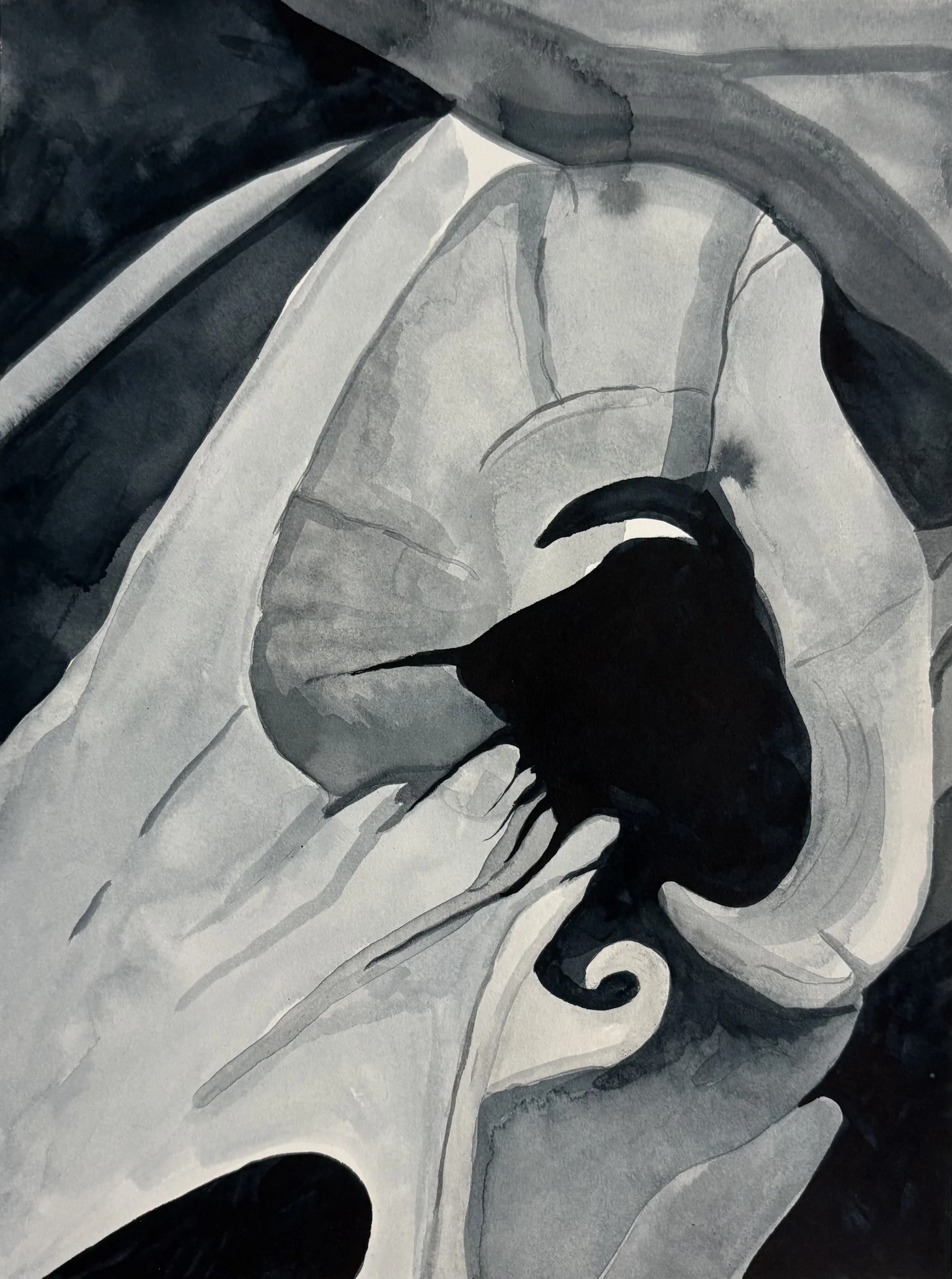 "Untitled", ink on paper, 12 x 9 inches, 2026