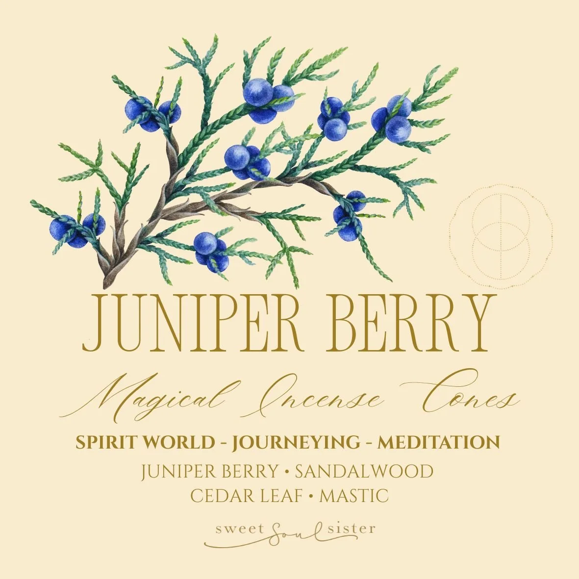 MAGICAL INCENSE CONES (Stickers (Circle)) (13).jpg
