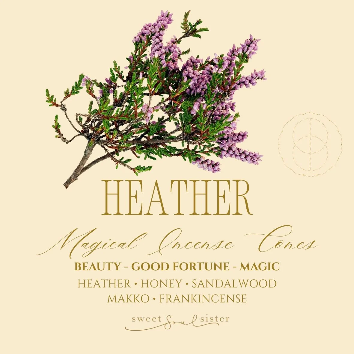 MAGICAL INCENSE CONES (Stickers (Circle)).jpg