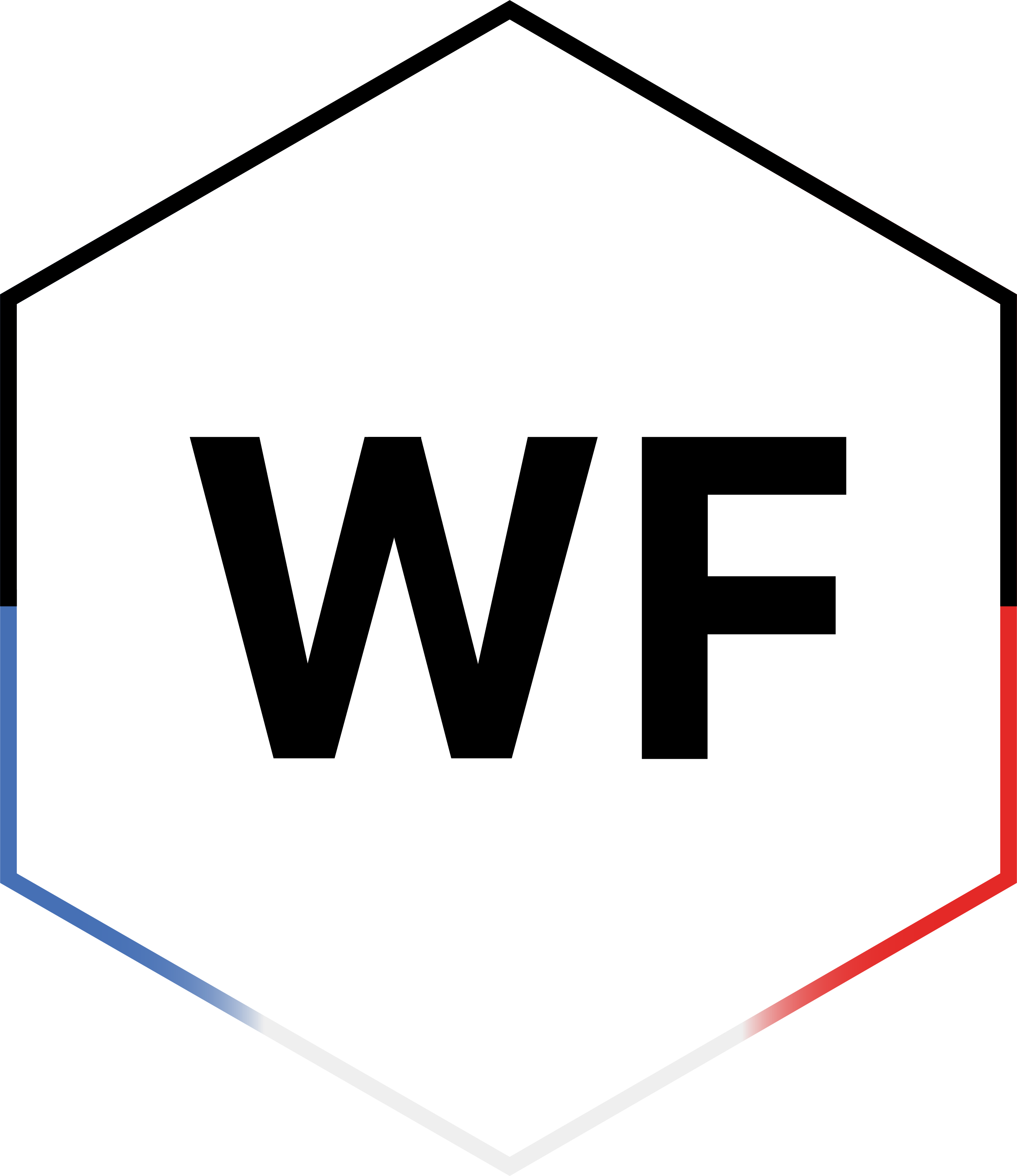Logo-Wellness-France.png