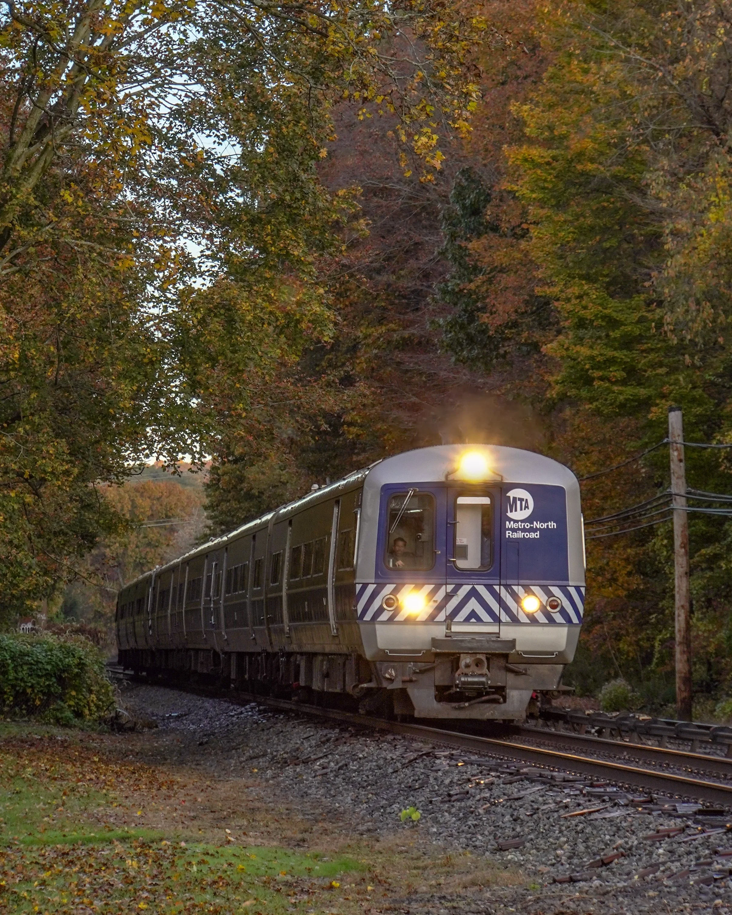 A metro train traveling through a wooded area with fall foliage, on a railway track during daytime.