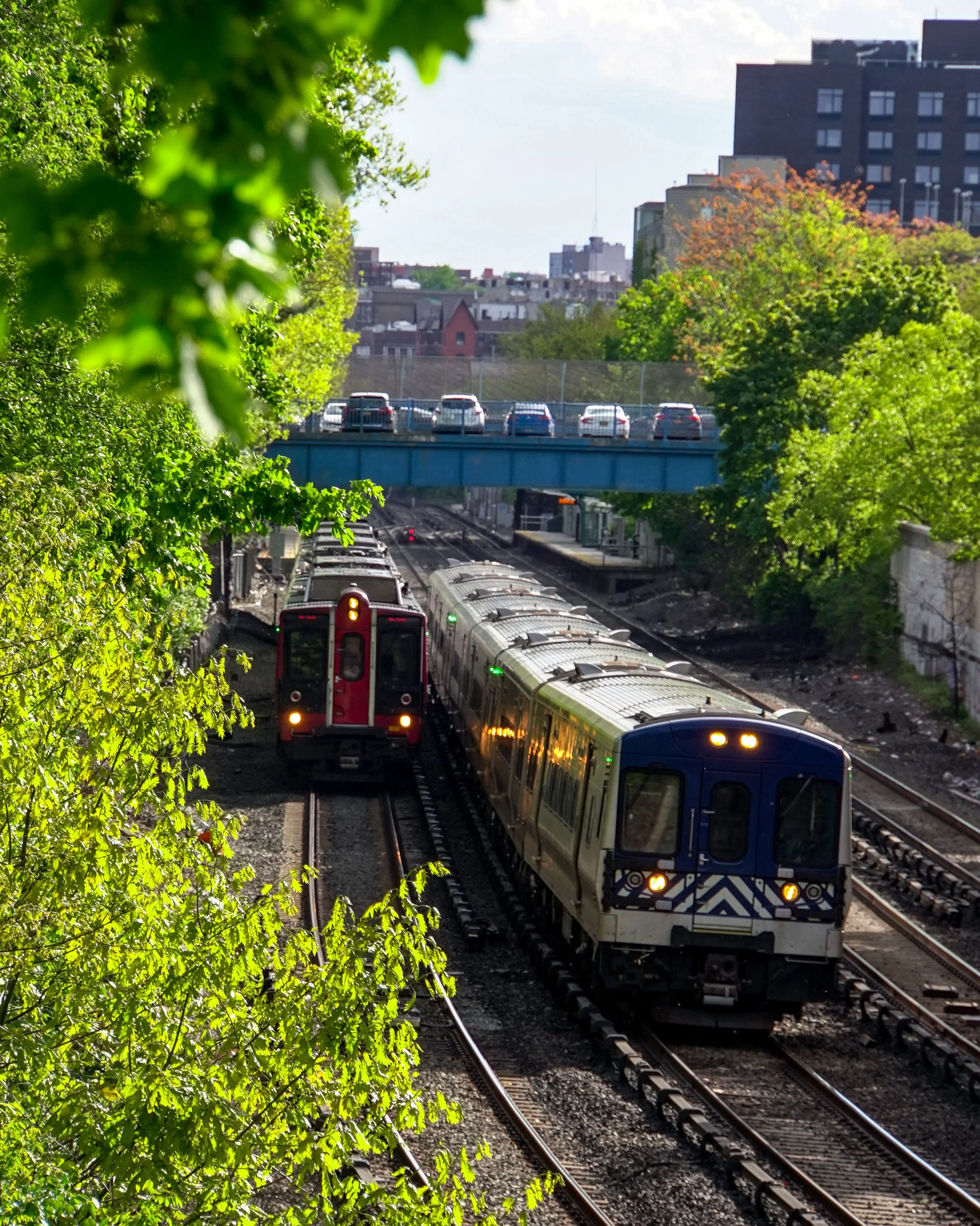 Two trains on parallel tracks, one red and the other beige with blue, passing through a green, leafy urban area with a bridge overhead and city buildings in the background.