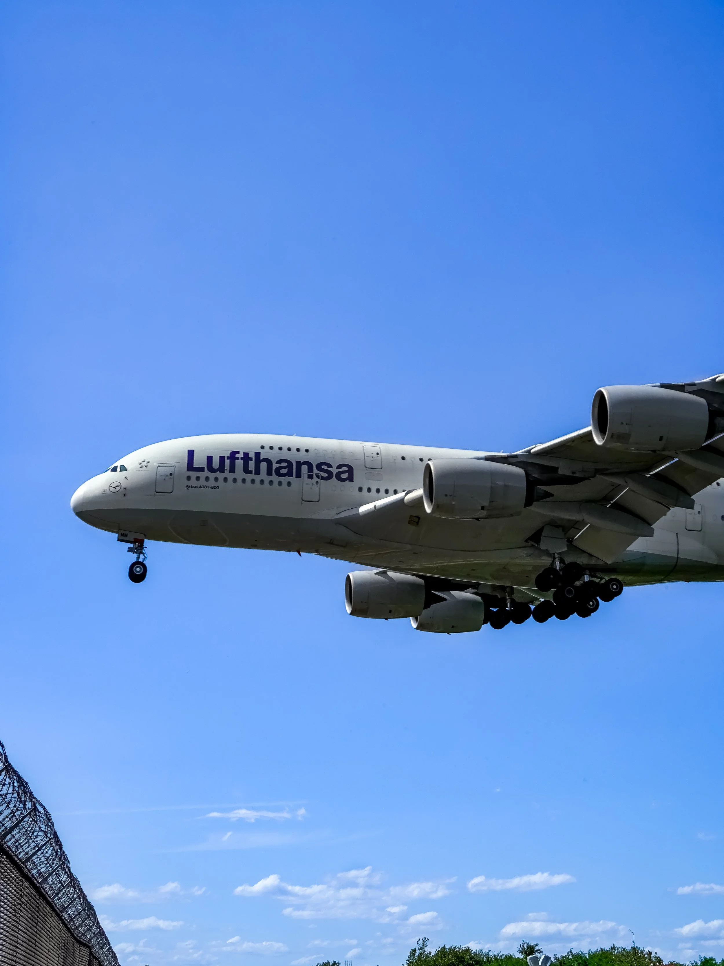 Lufthansa airplane flying in the sky above trees and a fence.