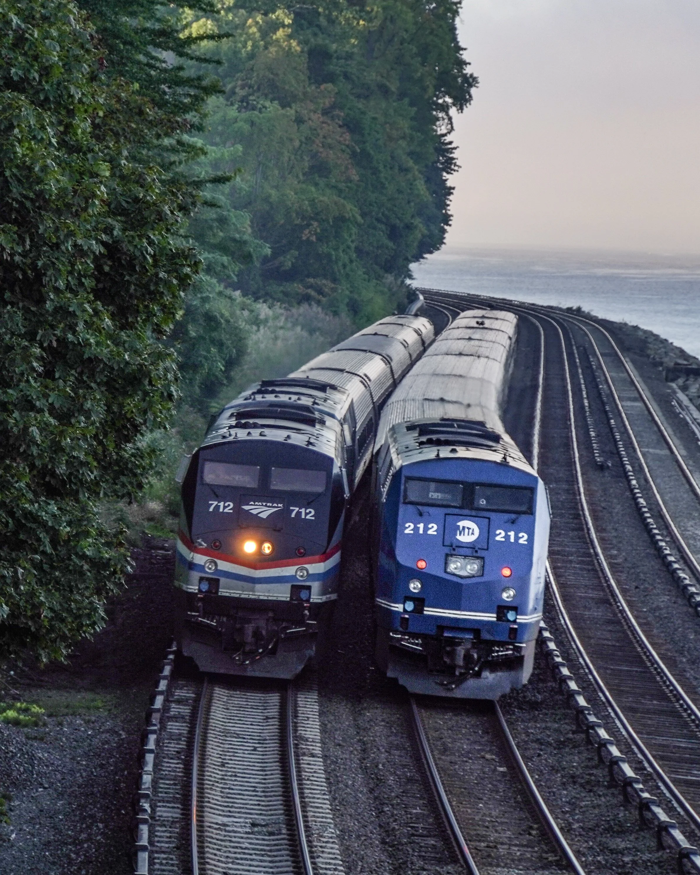 Two Amtrak passenger trains running on parallel tracks along a coastline, with trees on the left side and water on the right.