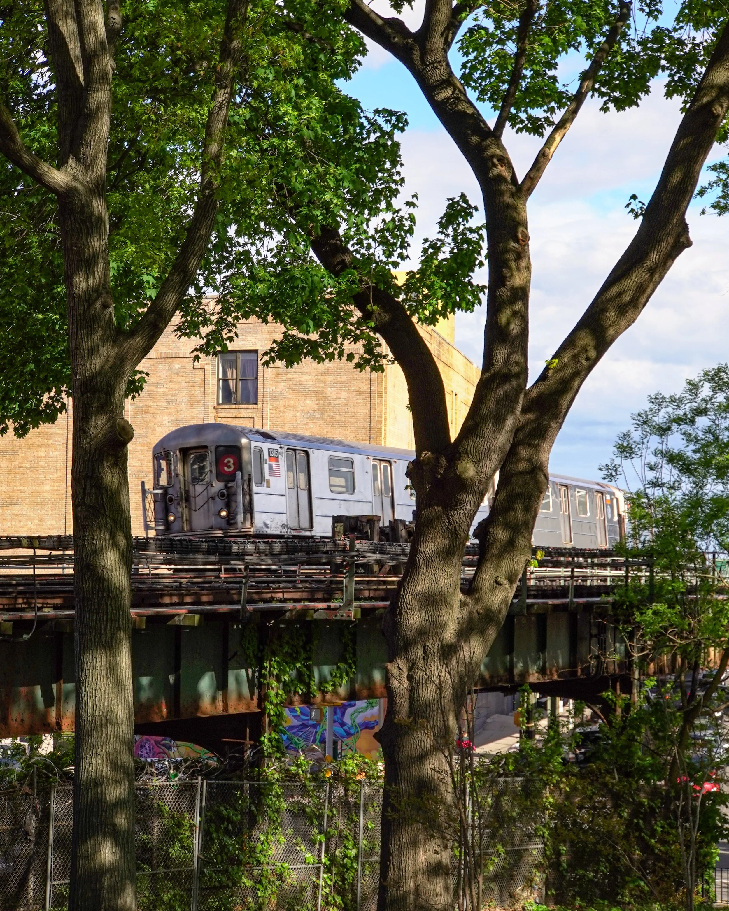 An elevated train traveling on a railroad track above a street, with trees and a brick building in the background.