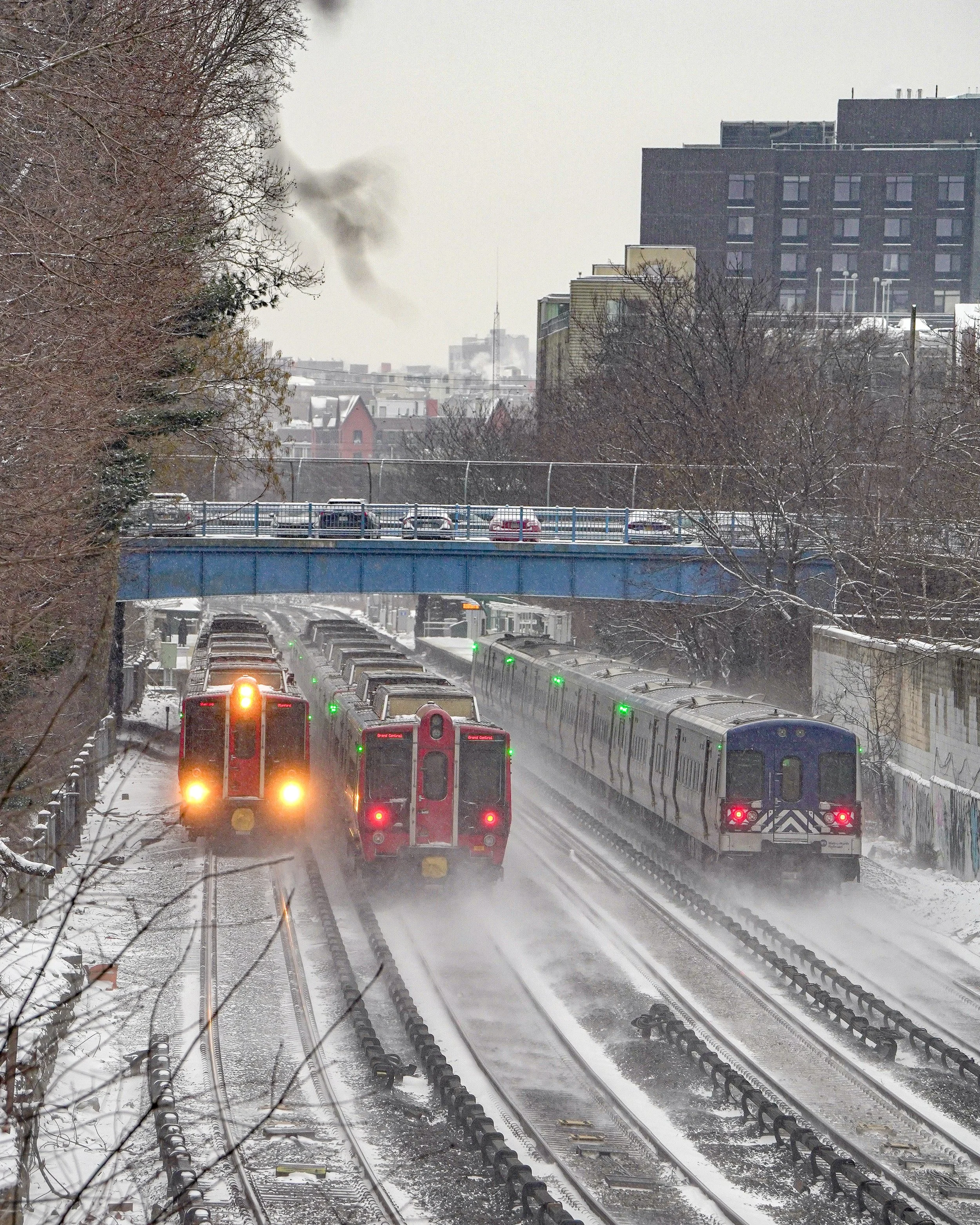 Snow Dashers