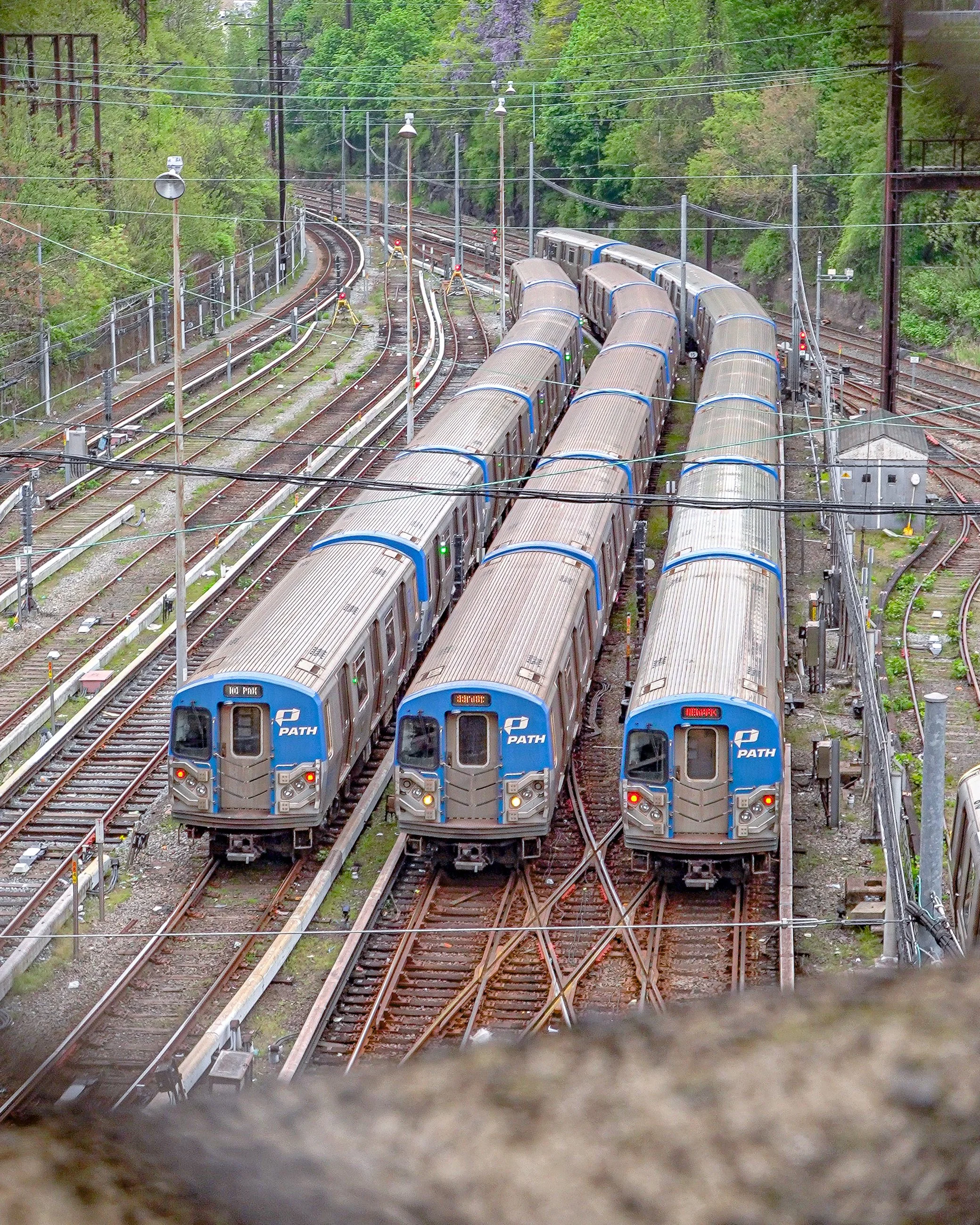 Multiple PATH transit trains parked on parallel tracks in a rail yard surrounded by greenery and overhead electrical wires.